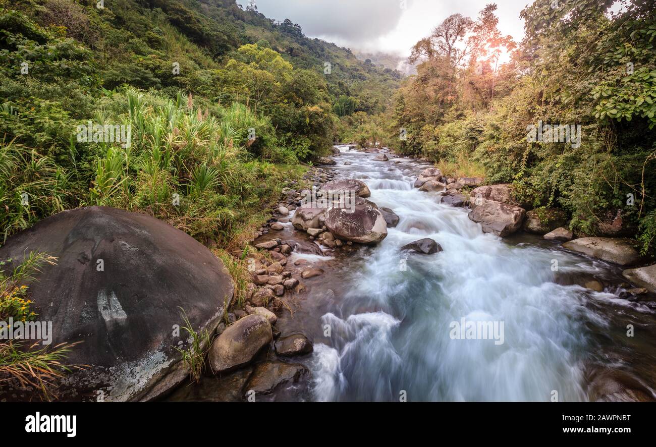 Langzeitbild eines Stroms im Wolkenwald in Costa Rica Stockfoto