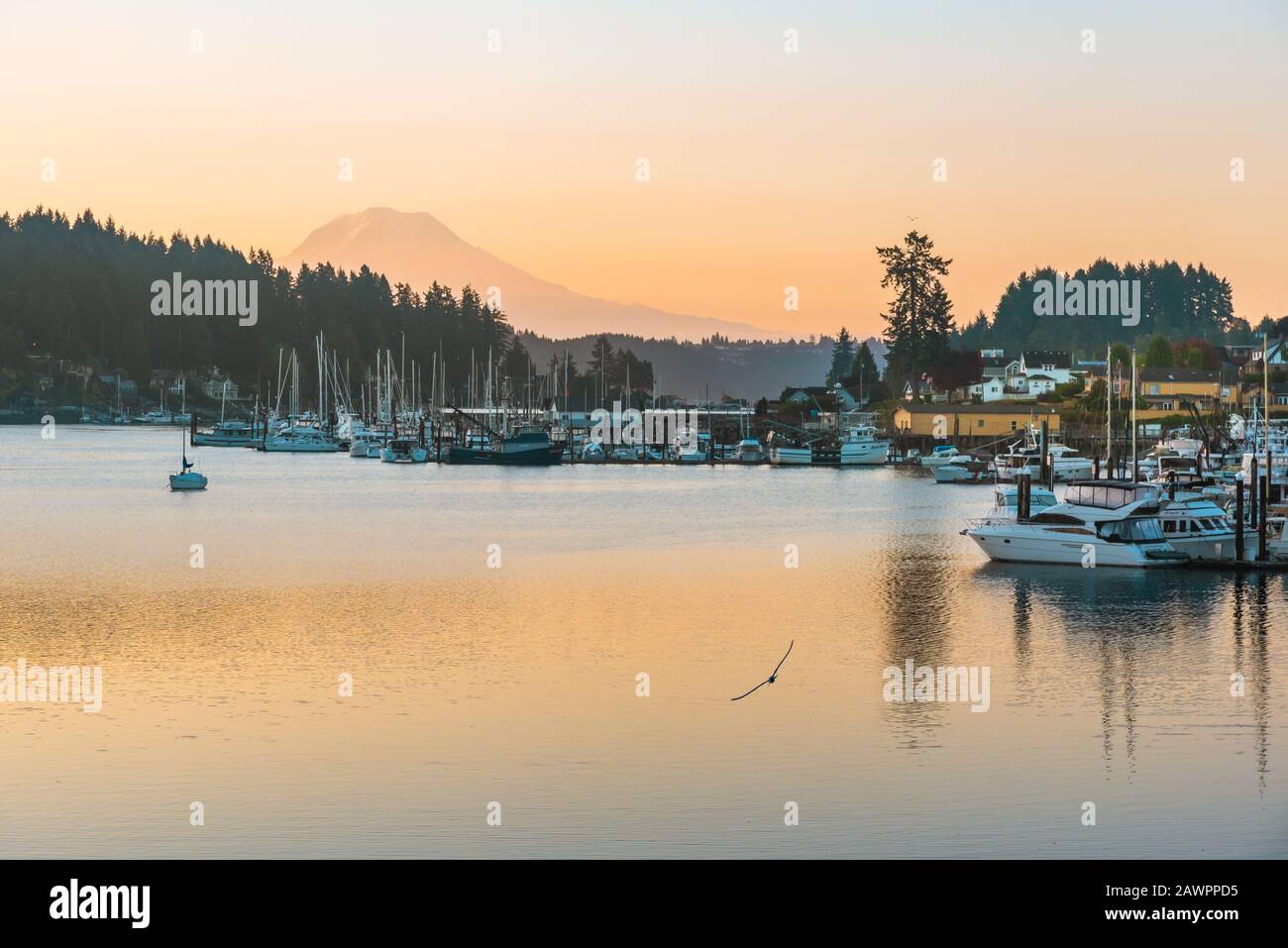 Sonnenaufgang über der Kleinstadt Gig Harbor, Washington mit Mount Rainier als Kulisse Stockfoto