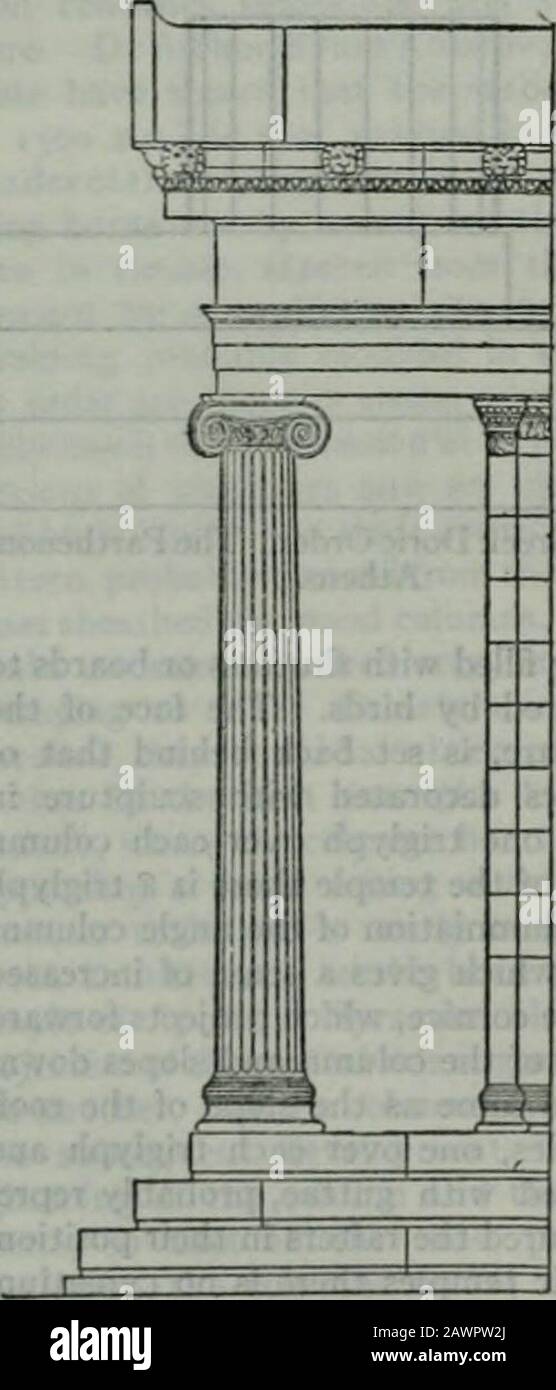 Die Encyclopaedia britannica; ein Wörterbuch der Künste, Wissenschaften, Literatur und allgemeinen Informationen . Und eine Echinusformerei, die oben mit dem Ei und Dart angereichert ist, auf der das Kapitell an jedem Ende mit Spiralvoluten ruht, und von vorne nach hinten mit Polstern, die in der Bezeichnung und Anreicherung variieren. In den Kapitalsder Winkelsäulen wird das Endvolut auf der Diagonale rund gedreht, um auf der Vorderseite und der Seite das gleichsam anmutende Aussehen zu präsentieren; dies führt zu einer unbeholfenen Anordnung auf der Rückseite, bei der sich zwei Halbvoluten rechts schneiden. Ein kleiner Abakus, genischer geschnitzt mit Schmuck, krönt Th Stockfoto