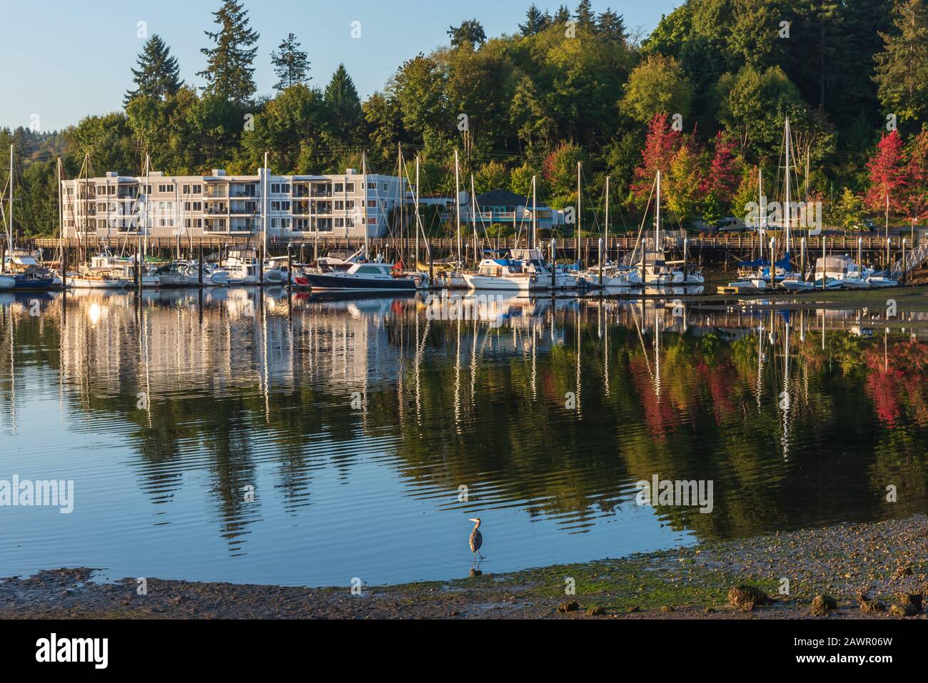 Am frühen Morgen über der geschützten Bucht von Gig Harbor, Washington mit blauem Himmel und hübschen weißen Wolken Stockfoto