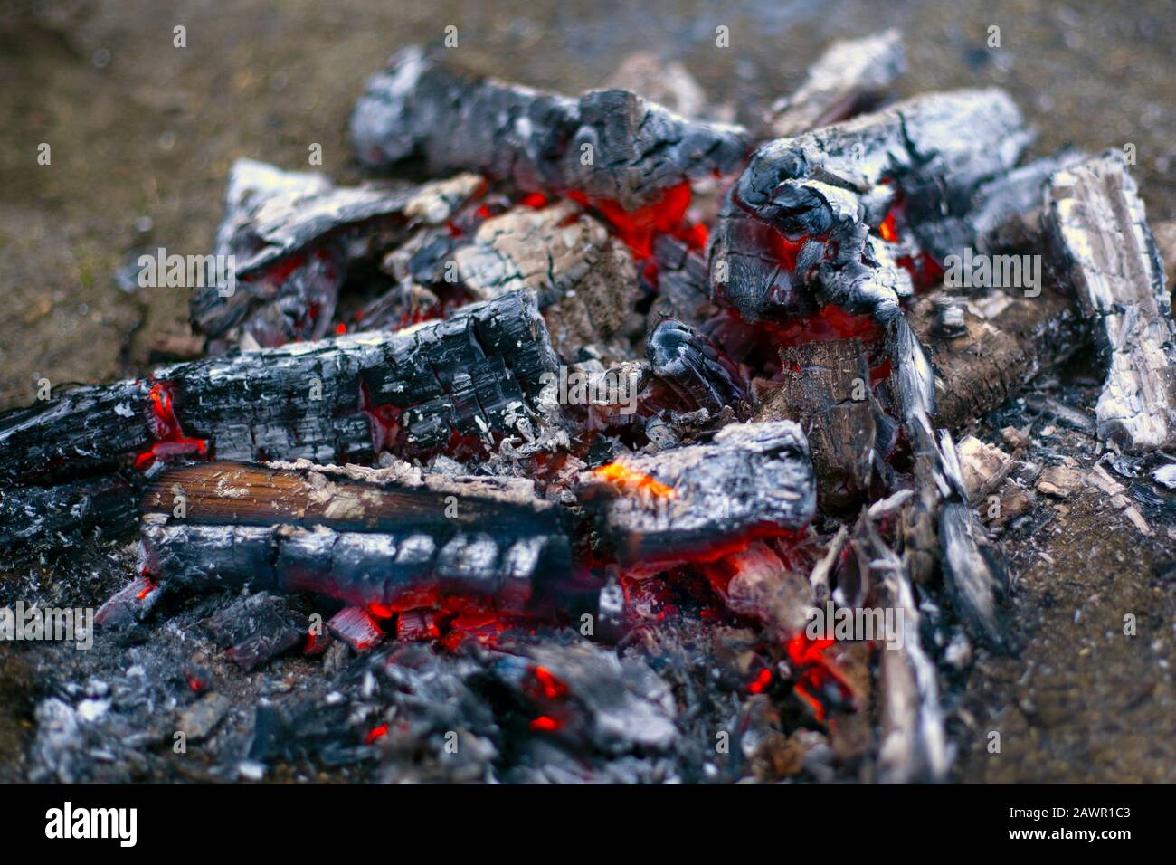 Verkohlte Holzkohle, die in der Asche entbrennt. Stockfoto