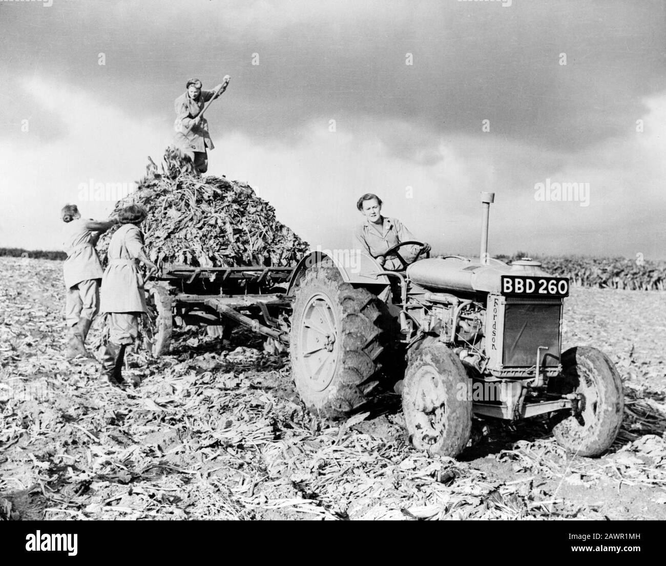 Fordson Tractor mit Mitgliedern der British Women's Land Army der vierziger Jahre. Stockfoto