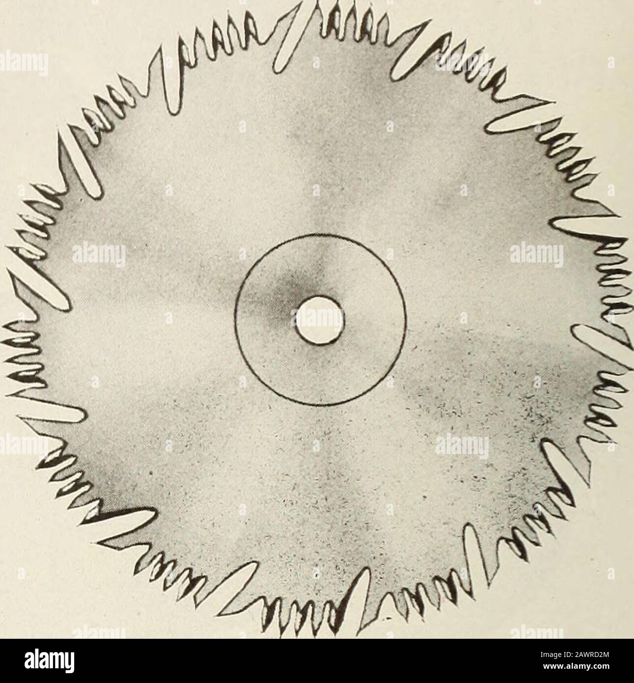 Kanadische Holzindustrie . dition, Yates AutomaticShaping Lathe wird zu einem Preis verkauft, den der kleinste Hersteller sich leisten kann zu zahlen. Senden Sie ein kostenloses Muster, das zeigt, was es tun wird, und ein kreisförmiges Periodenmuster. Sie erhalten ein neues ideaswithout Unkosten oder Verpflichtung zu Ihnen in irgendeiner Weise. PB. I/ates Machine Co.£ID HAMILTON, ONT. CANAOA Nachfolger der BERLINER MASCHINENFABRIK - U. S. Werk: Bcloit, Wis. CANADIAN WOODWORKER September, L916 Die Beaver Circular Planer Saw Die Beaver Planer Saw wird durch einen speziellen Prozess hergestellt und wird veryfast und glatt geschnitten, ohne ein sauberes p zu brennen Stockfoto