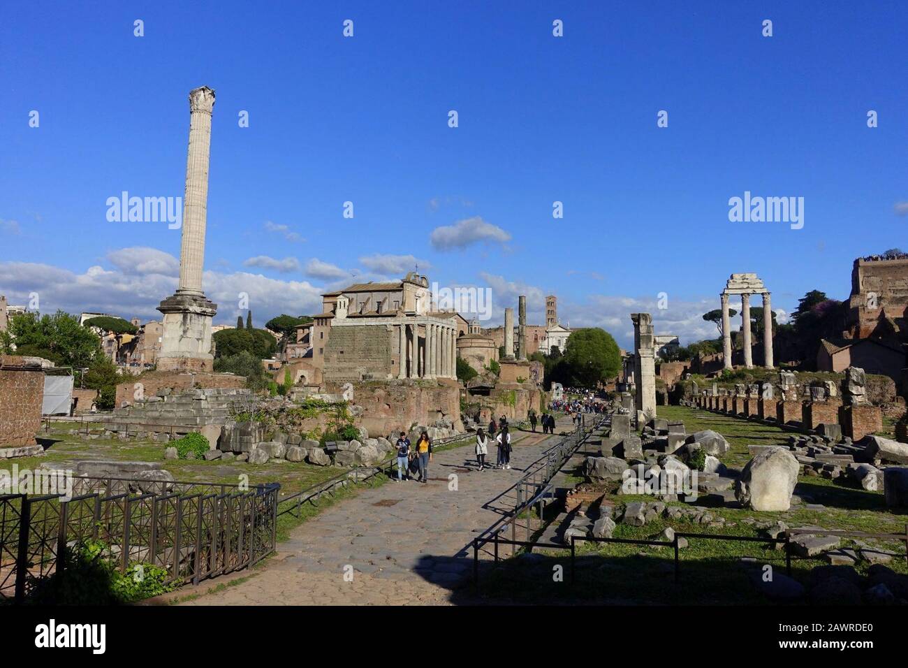 Forum Romanum - Rom, Italien Stockfoto