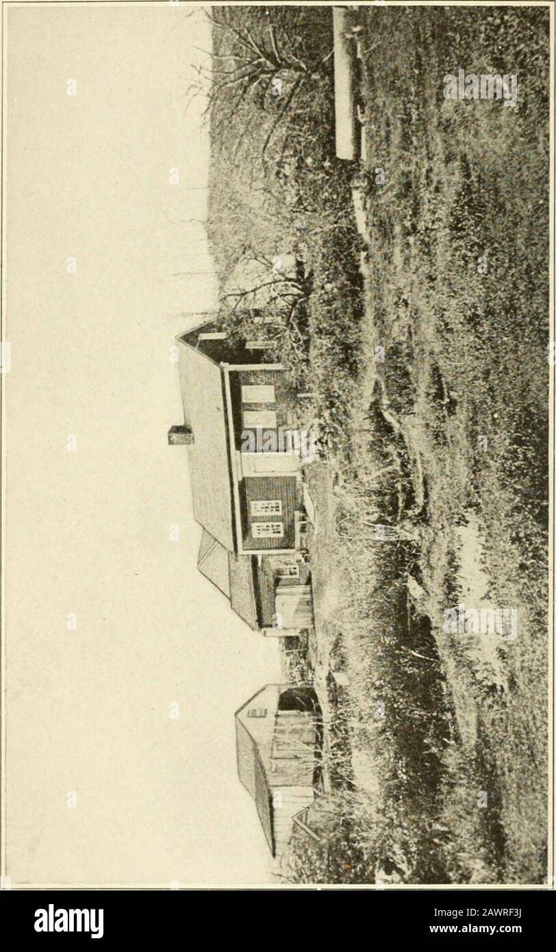 Russell HConwell, Gründer der institutionellen Kirche in Amerika, der Arbeit und des Menschen . Ohren und Augen. Ein Nachbar hatte ein Kalb verloren, ein weißes Kalb mit gebrochenem Horn. In der Scheune eines Nachbarn hatte sich ein weißes Kalb mit einem gebrochenen Horn erbeutet. Die Miteinziffer war misstrauisch. Der Kläger dewagte es als sein Kalb. Der Angeklagte schwor, dass er noch nie Thelost-Färber gesehen hatte und dass der in seinem bam selbst Raisedsich hatte. Die Nachbarn gaben ihr Zeugnis ab, denn der kleine Laden war überfüllt, eine Gerechtigkeit des Friedens aus North-ampton war gekommen, um den Fall zu versuchen. Ein Mann saidhe hatte den Angeklagten trov gesehen Stockfoto