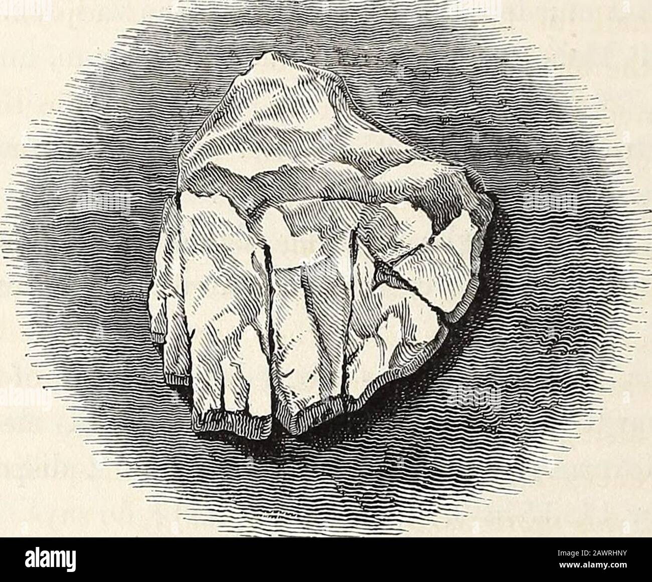 Einige Darstellung des Gebietes oder der Herrschaft Farney: In der Provinz und dem Erddom von Vlster. . d und duetivolles Verhalten Ich war damit zufrieden, die Väter in den Ort zu stellen, eher dafür, dass der Countrey zuvor nach ihrem Bewahrer und Manier gewählt hatte.10 Diese Bräuche werden vom Dichter Spencer in seiner interessanten Ansicht über den Staat Irland angespielt, sagt er, Dezember 1578 Datierten 9. .0 S. P. O. L 74 EINIGE ANGABEN ÜBER DAS GEBIET, Das Sie verwenden, um ihn zu platzieren, das ihren Captaine auf einem Stein11alwayes zu diesem Zweck reserviert und gemeinhin auf einen Hügel gelegt hat: Einige davon habe ich Stockfoto