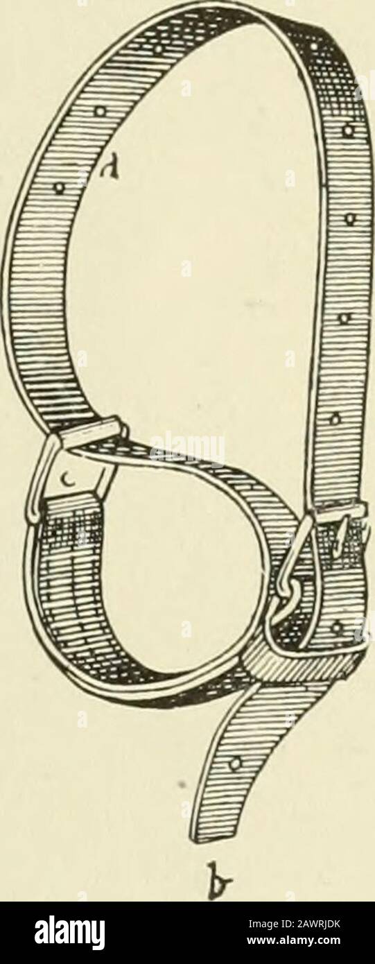 Zurückhaltung von Haustieren; ein Buch für den Gebrauch von Studenten und Praktizierenden; 312 Illustrationen aus Federzeichnungen und 26 Halbtöne aus Originalfotos . ^. Abb. 245. Hess Knie Abb. 246. AuthorsStrap. Kniegurt. Abb. 247. Trasbotsknee Riemen. Stockfoto