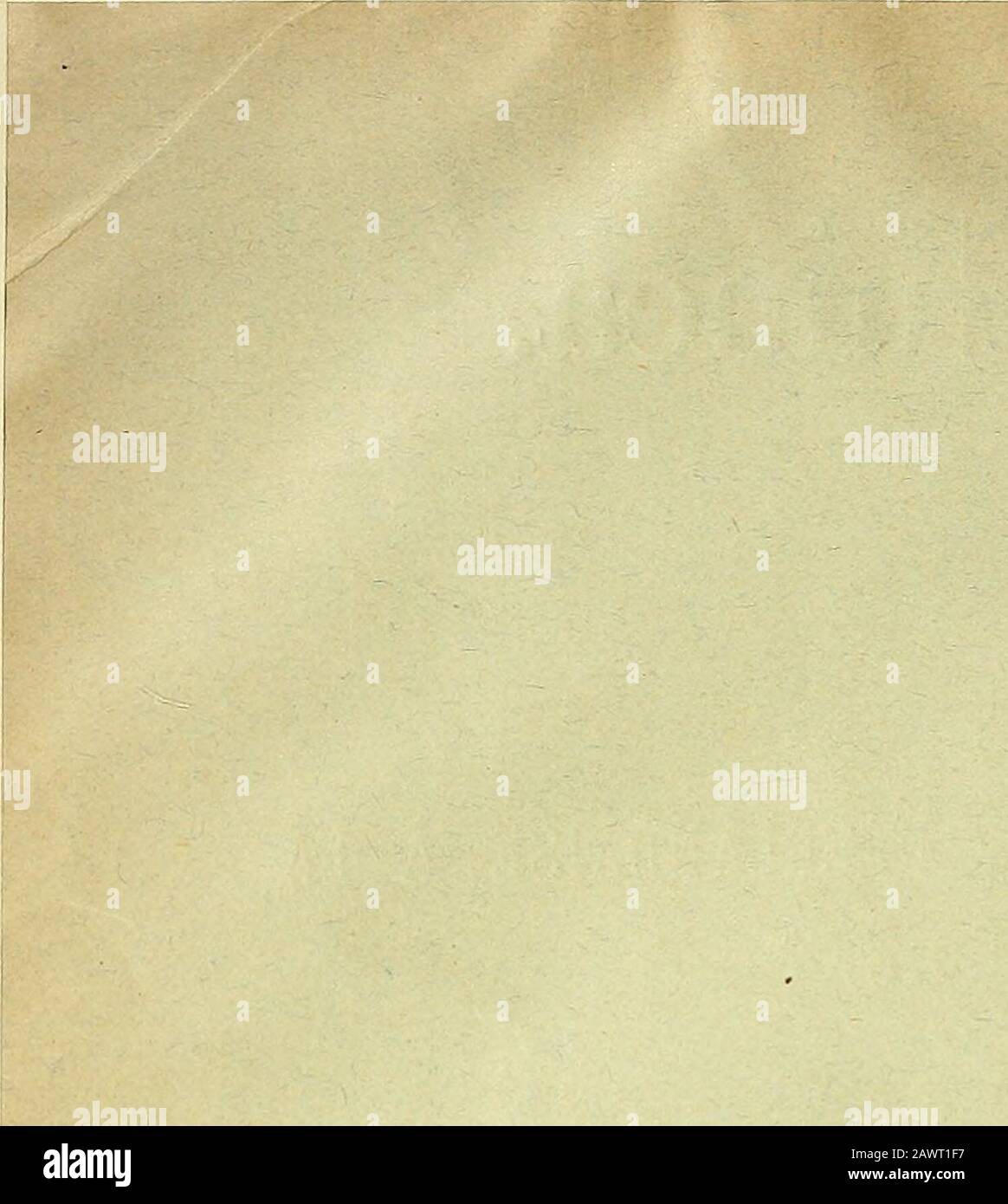 Foraminiferen Stockfotos Und Bilder Kaufen Alamy