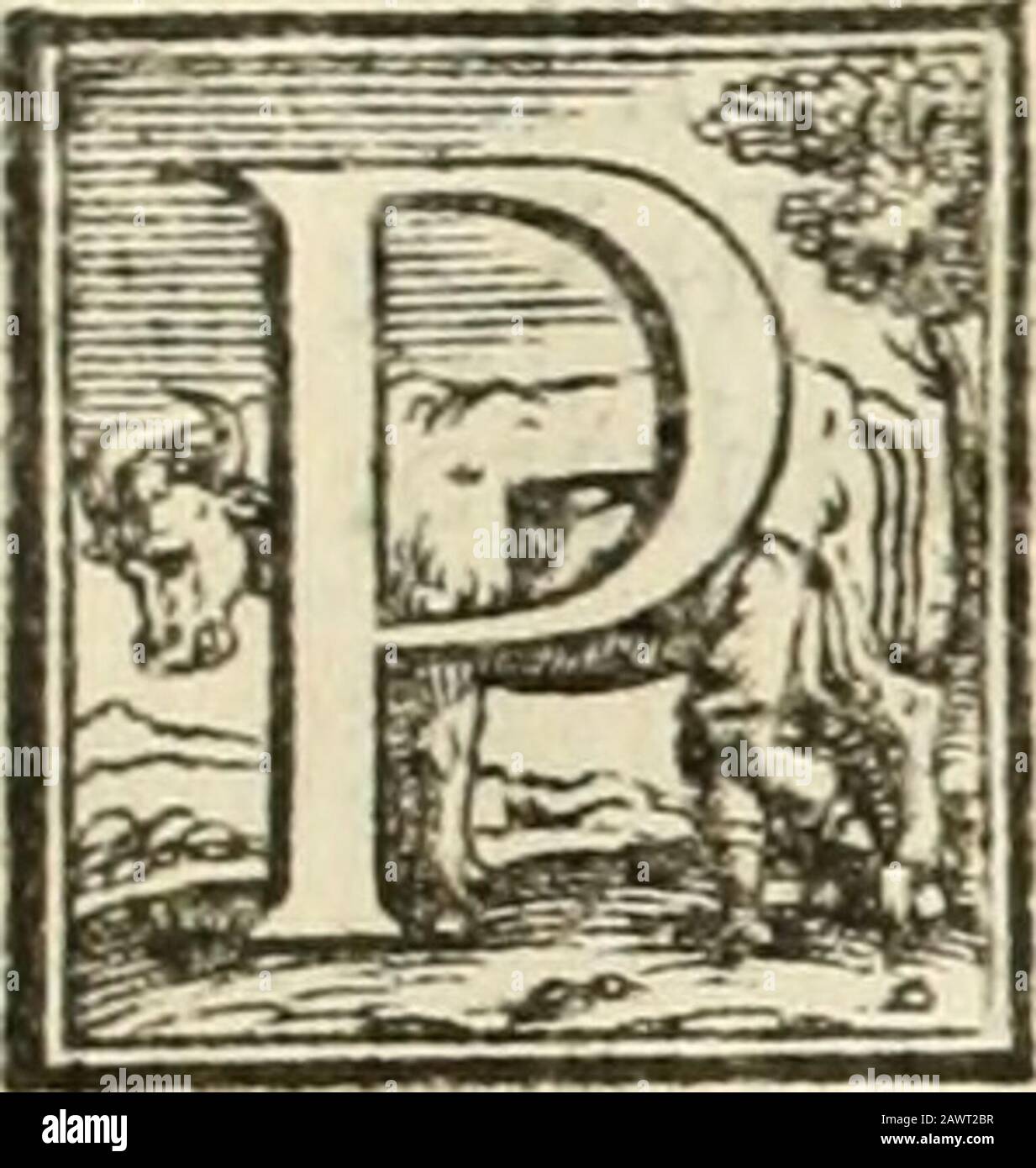 L'architettvra. Libro Settimo. IRP. Di poi i due quarti del CircoN. C.&N. D. in due uguali parti come per O.R. fi uede,&ciò fatto piantifi una Gamba del coinpairo in pconto R.& con laltra fi troui G. & fi cauli lalinea curua G.T. dipoi con la medefima apertura fi pitia una Gamba del compaflb in pontoO. & FI cafi laltra linea curua H. V. & dous tali linee sinterfcgano fcgnifi P. diuidafi dipoiP. N. in due uguali parti in pto X.&iui fi pianti una gamba del compaflb con tale APER-tura che con laltra fi rrouino le più ftrette parti de glarchi H. V. & G. T. & fi cafi lultimafua curuatura da Stockfoto