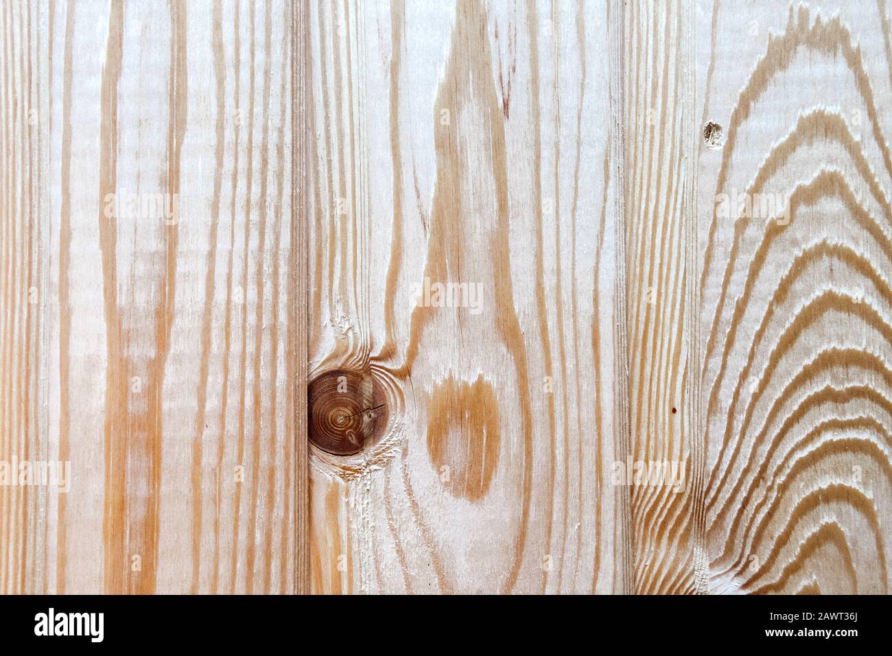 Die Struktur des Boards besteht aus natürlichem, frischem, hellem Holz mit hellem Muster von Jahresringen. Panel mit Defekten, großem, dunklem Knoten und flachem Dent, rou Stockfoto