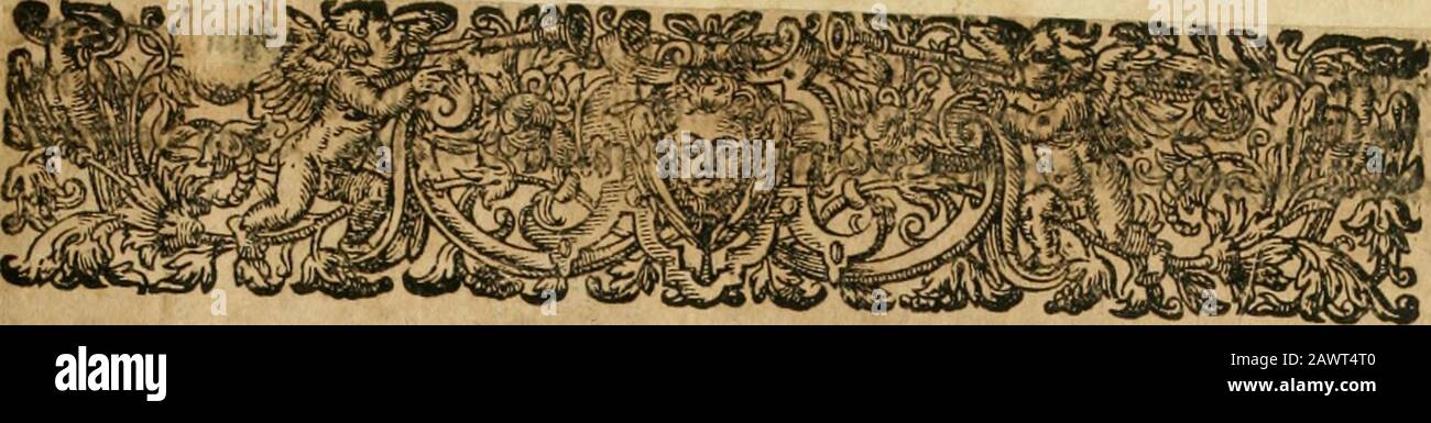 Amerika, das ist, die Ausbildung vnd Offenbahrung der neuen Welt: Deroselbigen Völcker, Gestalt, Sitten, Gebräuch, Policey vnd Gottesdienst . 1 Stockfoto