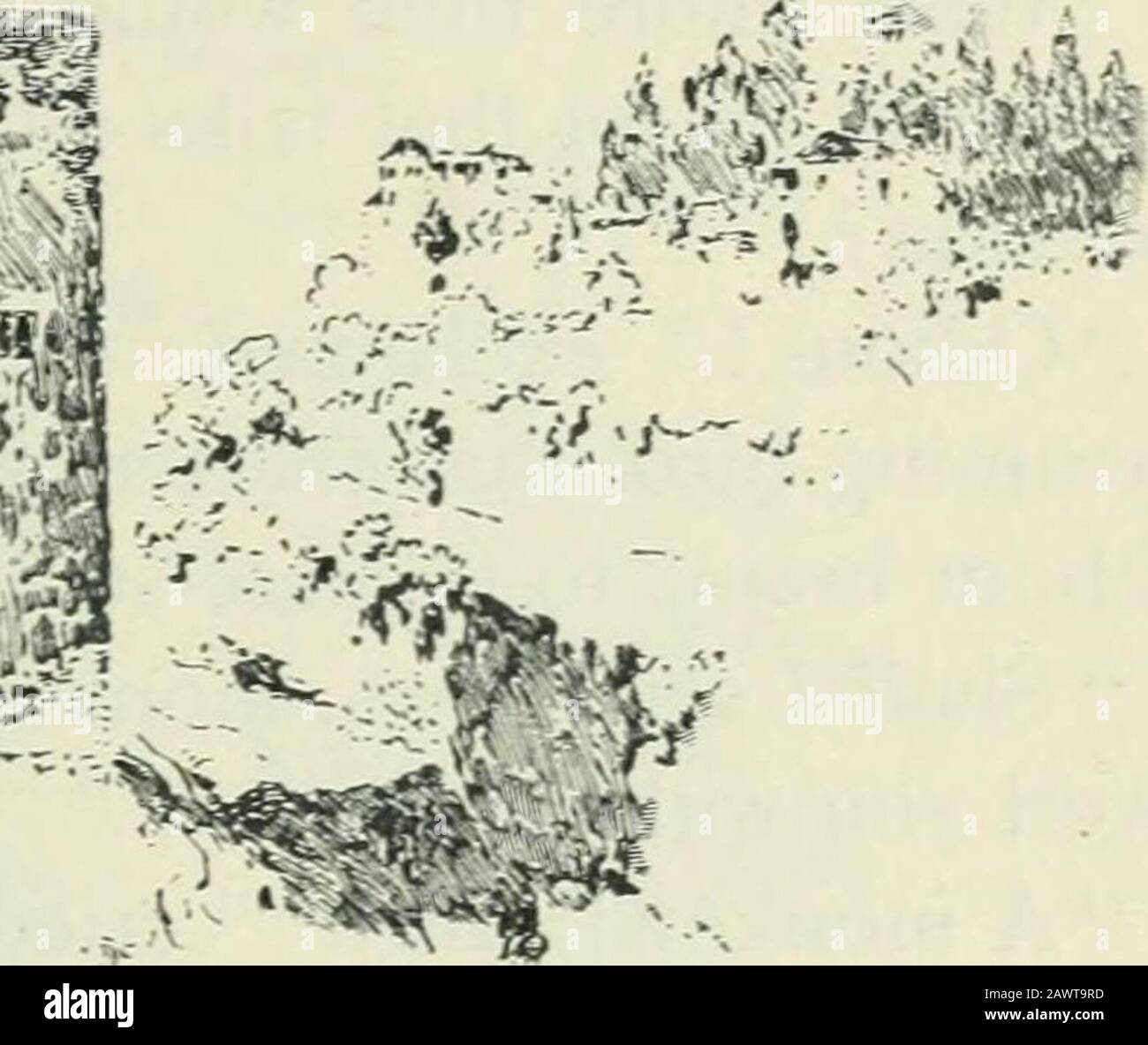 Die Alhambra war von einer etwas keiligen, Tyrannischen Veranlagung, nahm dies zunächst in High dudgeon, aber er spiegelte wider, dass Zischöchter in einem Alter angekommen waren, in dem der weibliche Geist seine Wünsche ausweidet. Sie sind keine Kinder mehr, saidhe sich selbst, sie sind Frauen gewachsen und benötigen Freigepäck, um sie zu interessieren. Deshalb hat er alle Dressurreiter und Juweliere sowie die Kunsthändler in Gold und Silber im gesamten Zacatin von Granada gefordert, und die Prinzessinnen waren mit Gewändern aus Seide und Gewebe, Brokat, Kaschmirschas und Halsketten und Ringen überfordert. Andbr Stockfoto