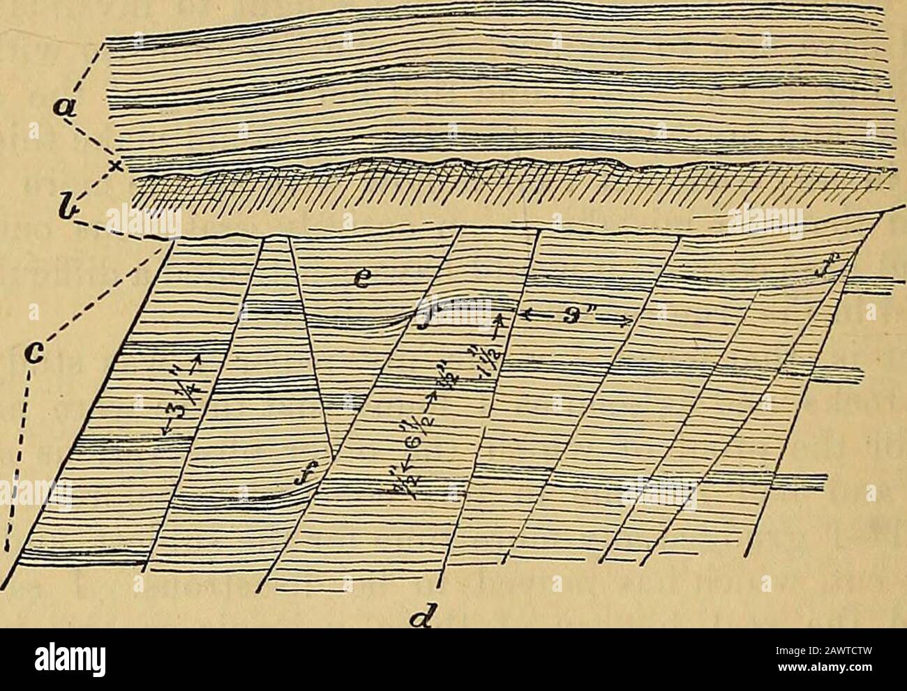 Geologische Zeitschrift . enting ein gestreiftes Aussehen, das vom Ufer aus  veryauffällig ist. Im oberen Teil des Bettes waren die Bandswaren  durchgehend, wenn auch ein wenig gewellt: Der untere Teil des Bettes,