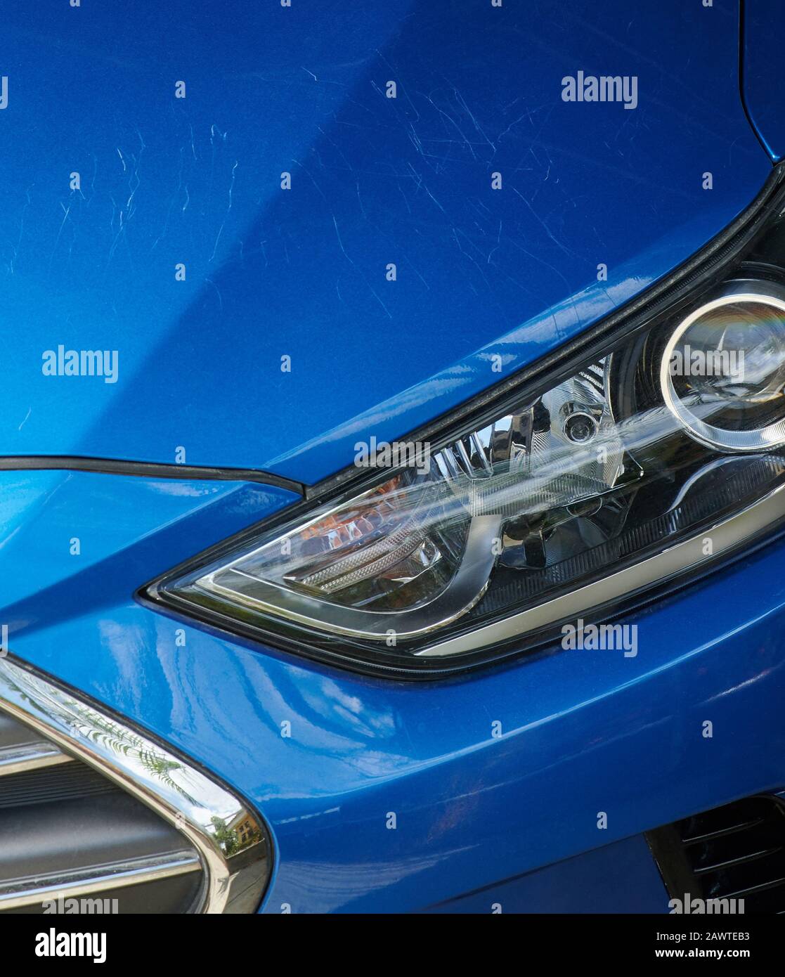 Haustiere, die die Farbe des Autos schädigen. Polierwagenservice Stockfoto