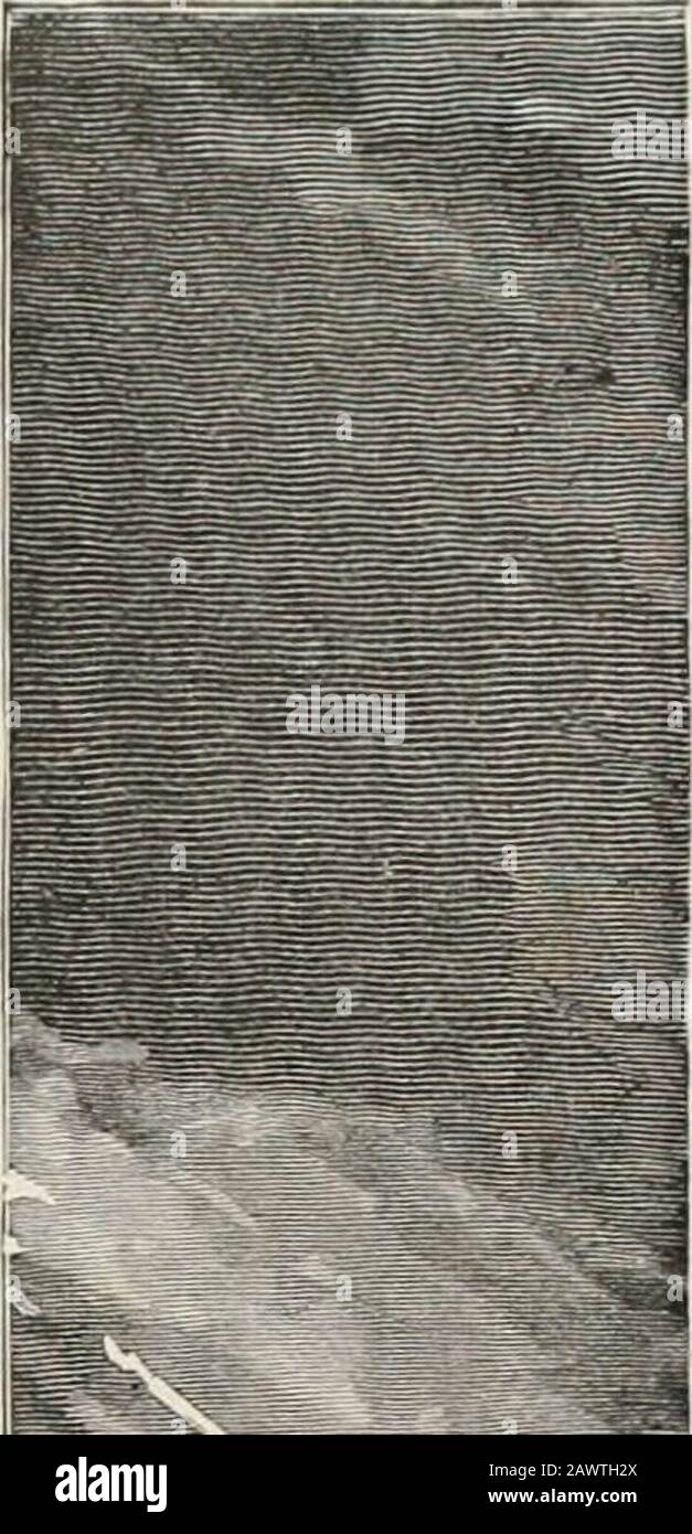 Cristóbal Cólon : su vida, sus viajes, sus descubrimientos . nte con un mundo nuevo é ignorado hasta entonces: Perolos acontecimientos an importantes. Tan extraordina-rios , que apenas si bastaba la atención para abarcarlos, ni lamemoria para retenlos. así se explica que para los españoles, para todos loseuropeos, la Historia de ¡as ludias occidentales empezara conel descubrimiento. El deseo de saber las vidas de loschombres extraordinarios que lo llevaron á cabo: El ansia deadquirir noticias de los pueblos de tan apartadas regiones,de sus habitantes, producciones 3 riquezas, llenaba po Stockfoto