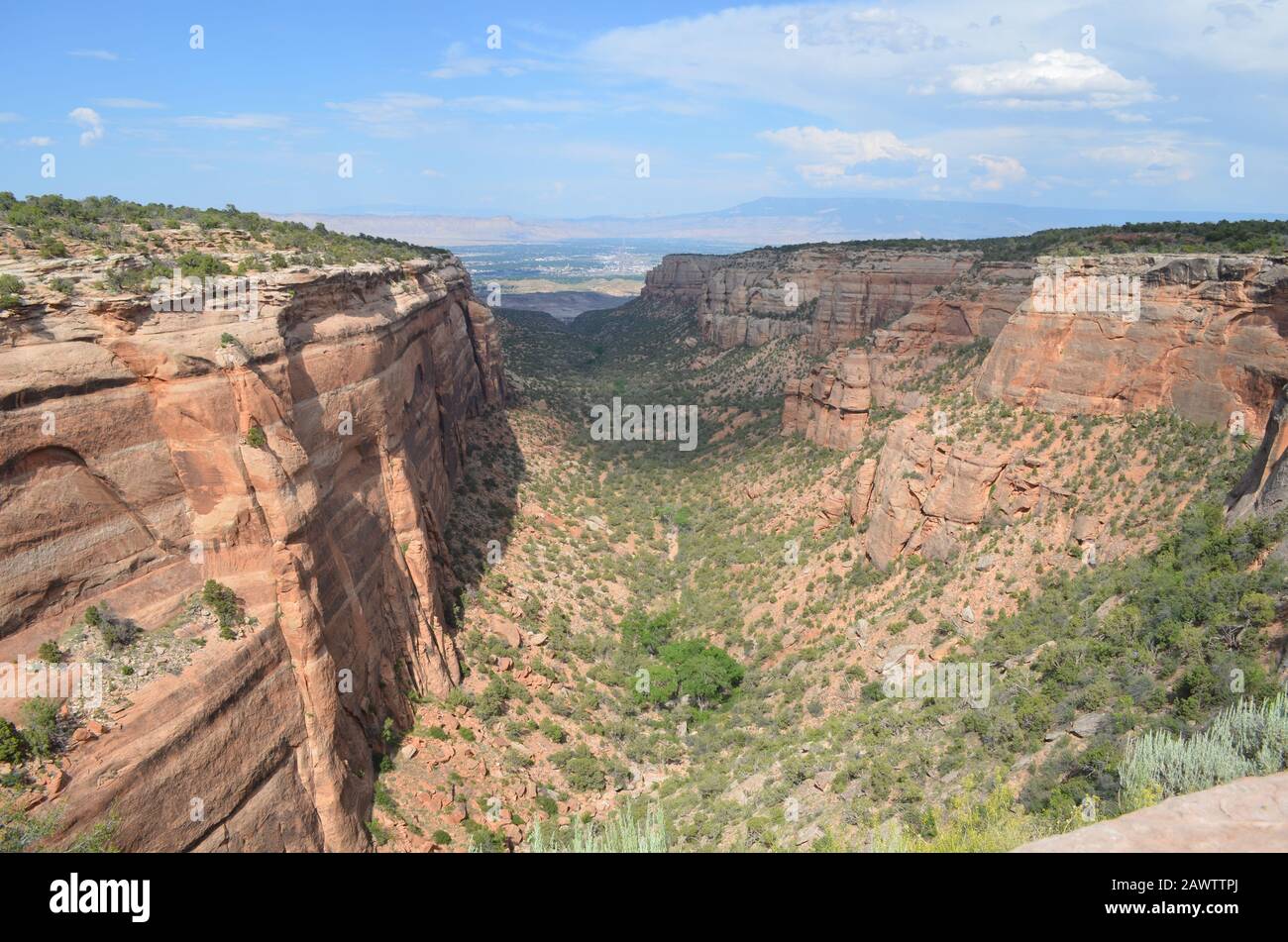 Sommer im Colorado National Monument: Blick Auf den Red Canyon zum Colorado River, Grand Valley, Grand Junction & Book Cliffs Vom Rim Rock Dr Stockfoto