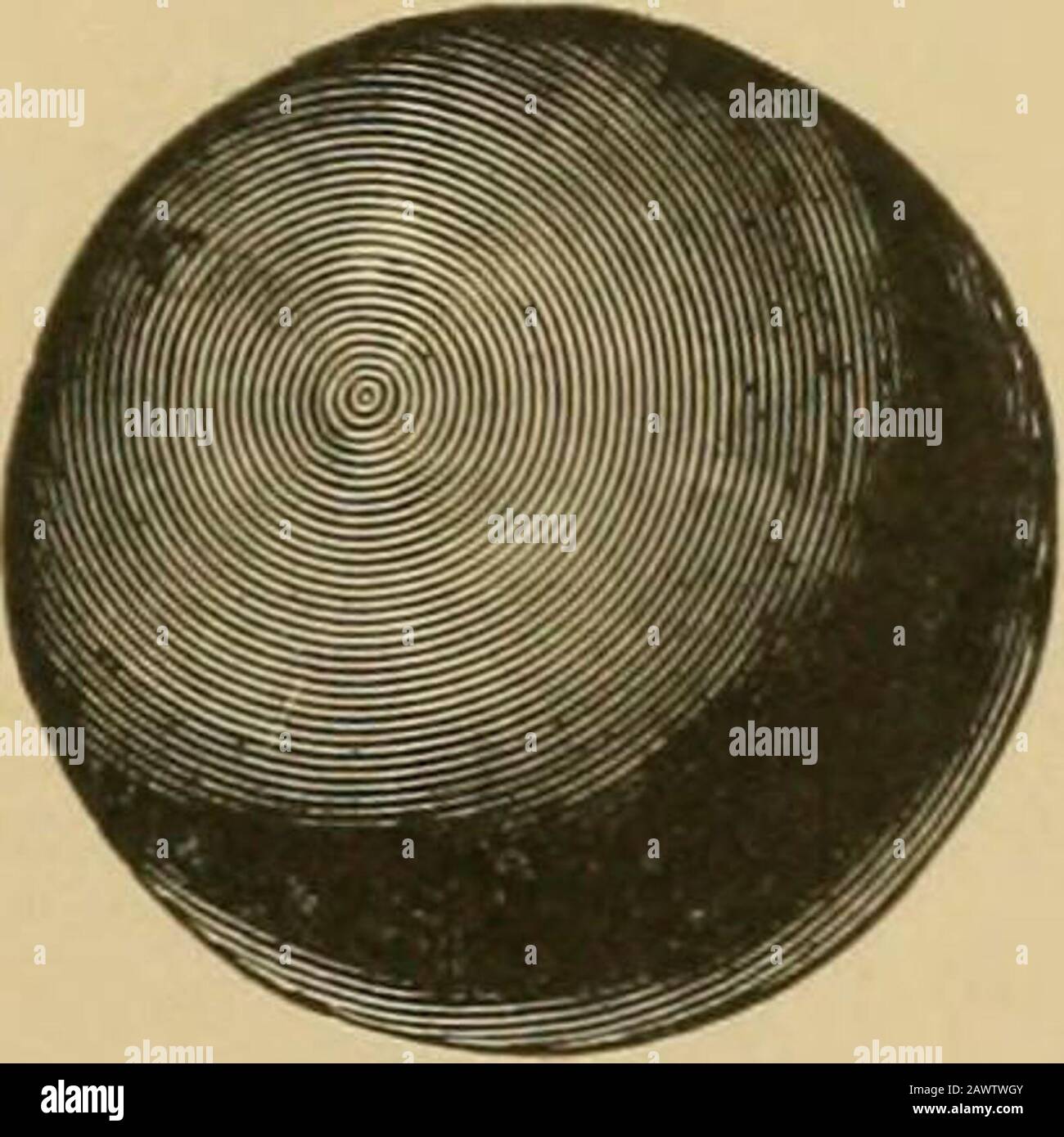 Verfassung und Satzung . Jeder Hammer ist komplett in einer Tragetasche aus Soleleather. 13-Ib., mit Sohle Ledertasche. 16-lb., mit Sohle Ledertasche. 12-lb., ohne Sohle Ledertasche. 16-lb., ohne Sohle Ledertasche. 02.06. 12.0012.0010.0010.00 USD C. SPALDING & BROS. New York Chicago St. Louis Washington San Francisco Boston Minneapolis Baltimore Kansas City New Orleans Buffalo Philadelphia Denver Pittsburg Syracuse Cincinnati Montreal, Can. London, England SPECIAL AWARD AN" (RAND PRIZE wurden von A. G. SPALDING & BROS, auf der Louisiana Purchase Expo-sition, 1904/05, für die beste, vollständigste gewonnen Stockfoto