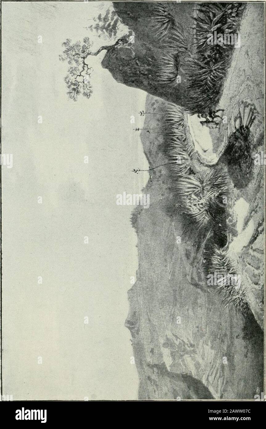 Das Drama der heiligen Helena. Durch Übungen und Beleidigung in Generalbestellungen, weil er nicht von Oberst Nicolas viele Männer beschaffen konnte, wie er es für Ermüdungsaufgabe wünschte. Die Offiziere des Regiments schlugen auf einen Plan der Rache, den Henry zu vollziehen verpflichtete. Eines guten Morgens tauchten Schilder auf den Thowalls von Jamestown auf, am Tor von Plantation, und im Deadwood Camp, um dies zu erreichen: Die Öffentlichkeit wird respektvoll informiert, dass Brigadier - General Coffin am Mittwoch, dem 10. Augenblick, einen fetten Knall an seinem Haus und am Freitag danach drei fette Schaupe töten wird. Rindfleisch von ND.to ist. Pro Pfund, je nach Stockfoto