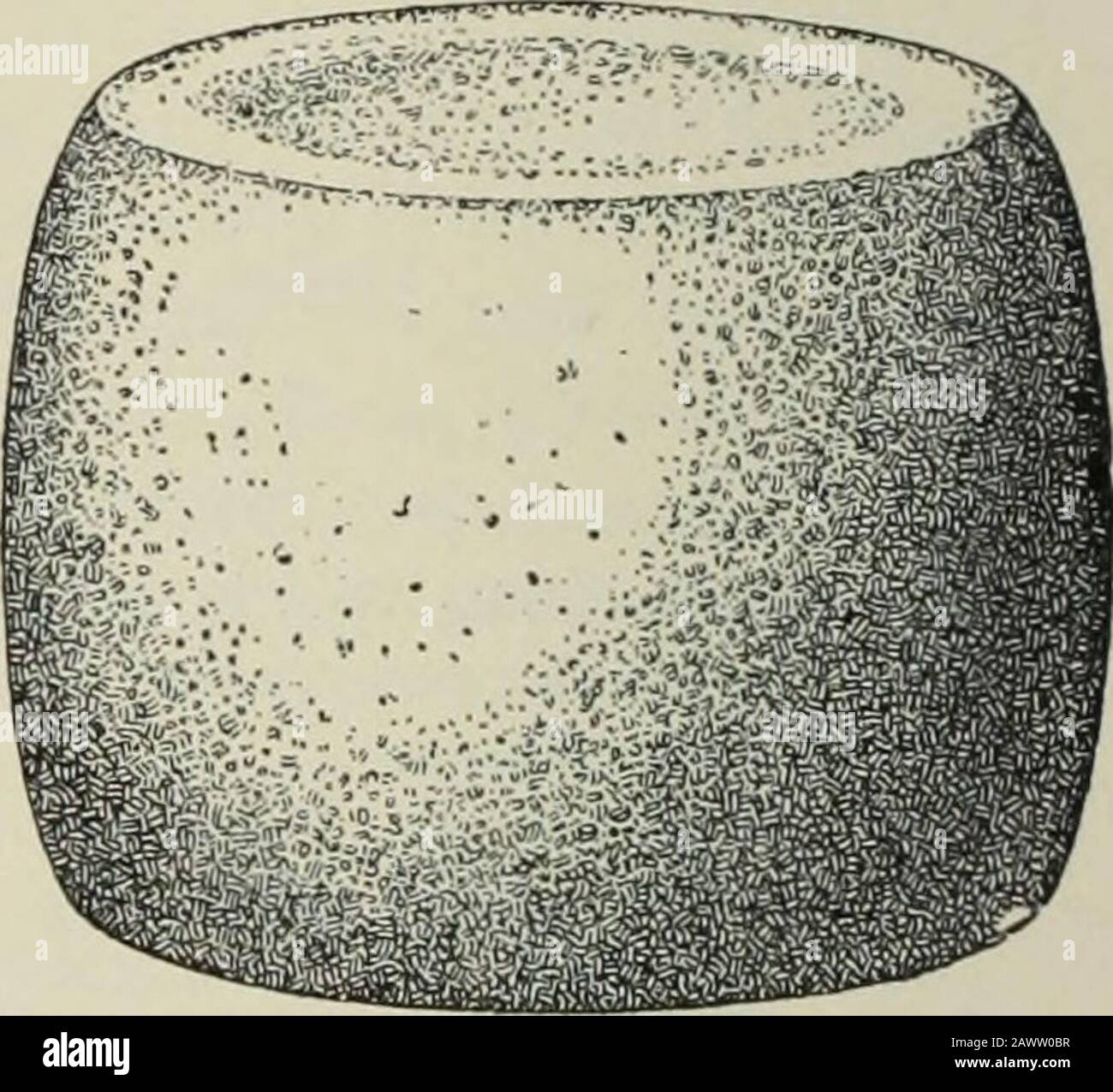 Jahresbericht des Büros für Völkerkunde an den Sekretär der Smithsonian Institution .. . ESSEE drei Ofquarzite, 2 mal 4£ Zoll, 4£ mal 5 Finken, und wenn um 3^ Zoll, und eins aus Granit, 2f mal 3 Zoll; aus Cald-well County, North Carolina, einem Ofgranit; und aus Montgomery County, North Carolina, drei von Quarzit. Die letzten vier sind offensichtlich Hammersor pestles. Außerdem gibt es einen Speckstein aus Jackson County, Illinois, aus ferruginösem Sandstein, 3 Zoll in Abb. 106.-Diskoidalstein, verwendet als Mörtel. Durchmesser. Auf der einen Seite befindet sich eine Grube und auf der anderen eine flache, mit Tar ähnliche Höhle Stockfoto