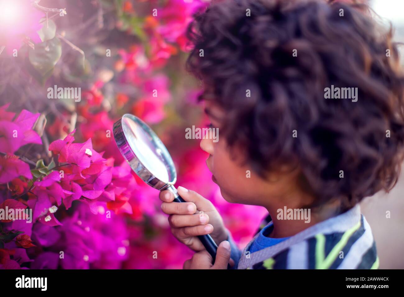 Ein kleiner Junge, der durch Lupe bei Pflanzen im Freien schaut. Kinder-, Entdeckungs- und Botanik-Konzept Stockfoto