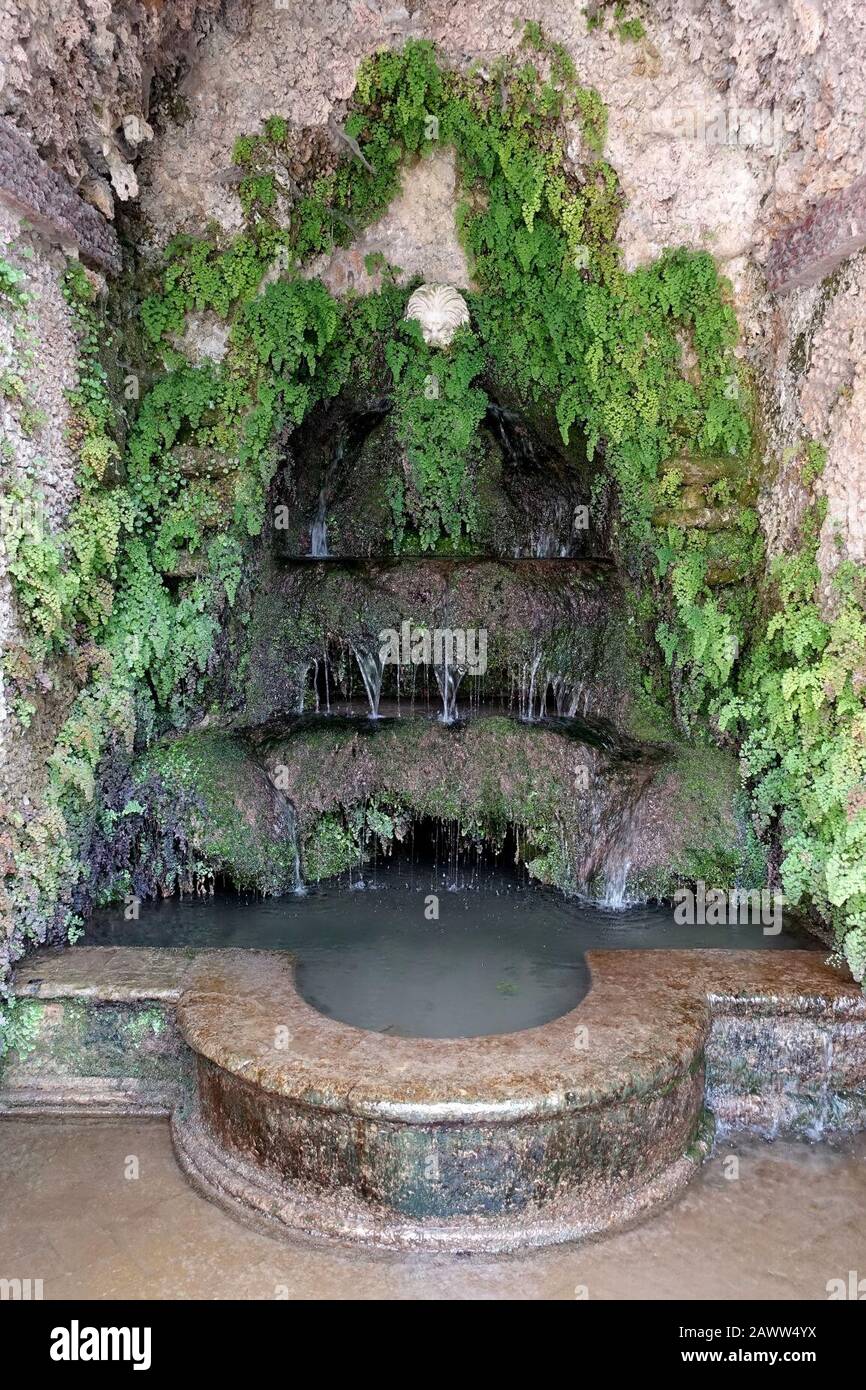 Brunnen - Villa d'Este - Tivoli, Italien Stockfoto