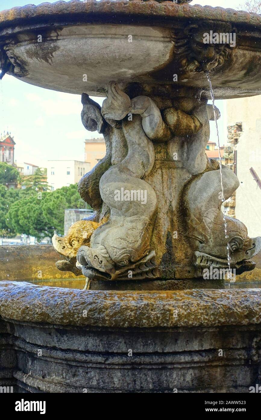 Springbrunnen - Palazzo dei Priori - Viterbo, Italien Stockfoto