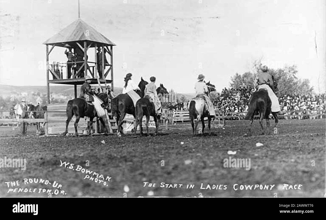 Vier Konkurrenten an der Startlinie des Pferderennens der Frauen Pendleton Oregon 1911 (AL+CA 1860). Stockfoto