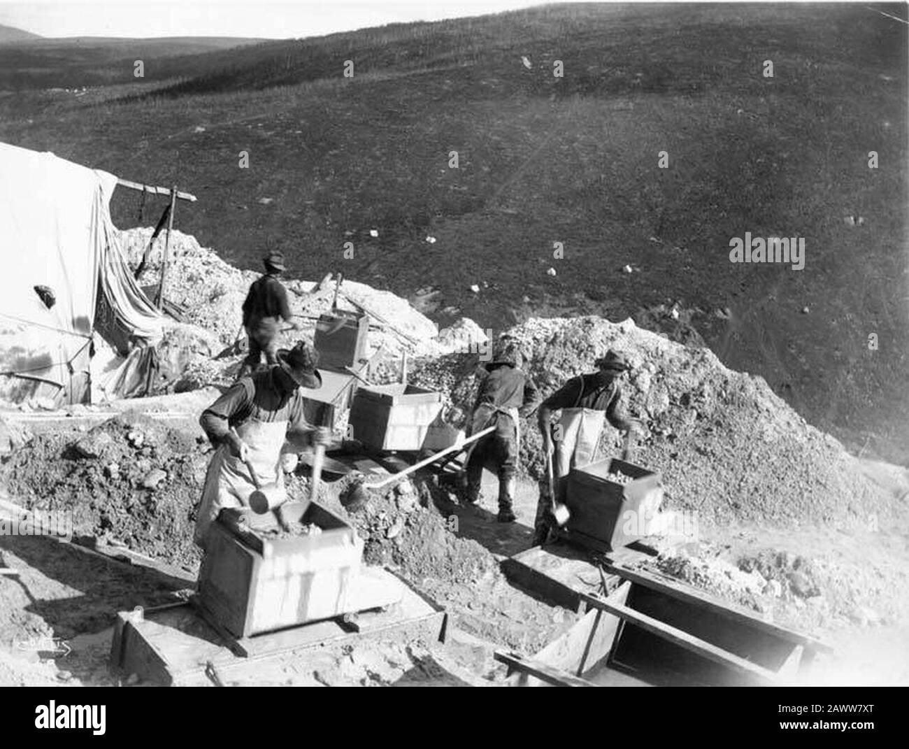 Vier Männer schaufeln Schmutz in Rocker am Albert Cavanaugh Claim Gold Hill Yukon Territory Ca 1898 (CURTIS 1352). Stockfoto