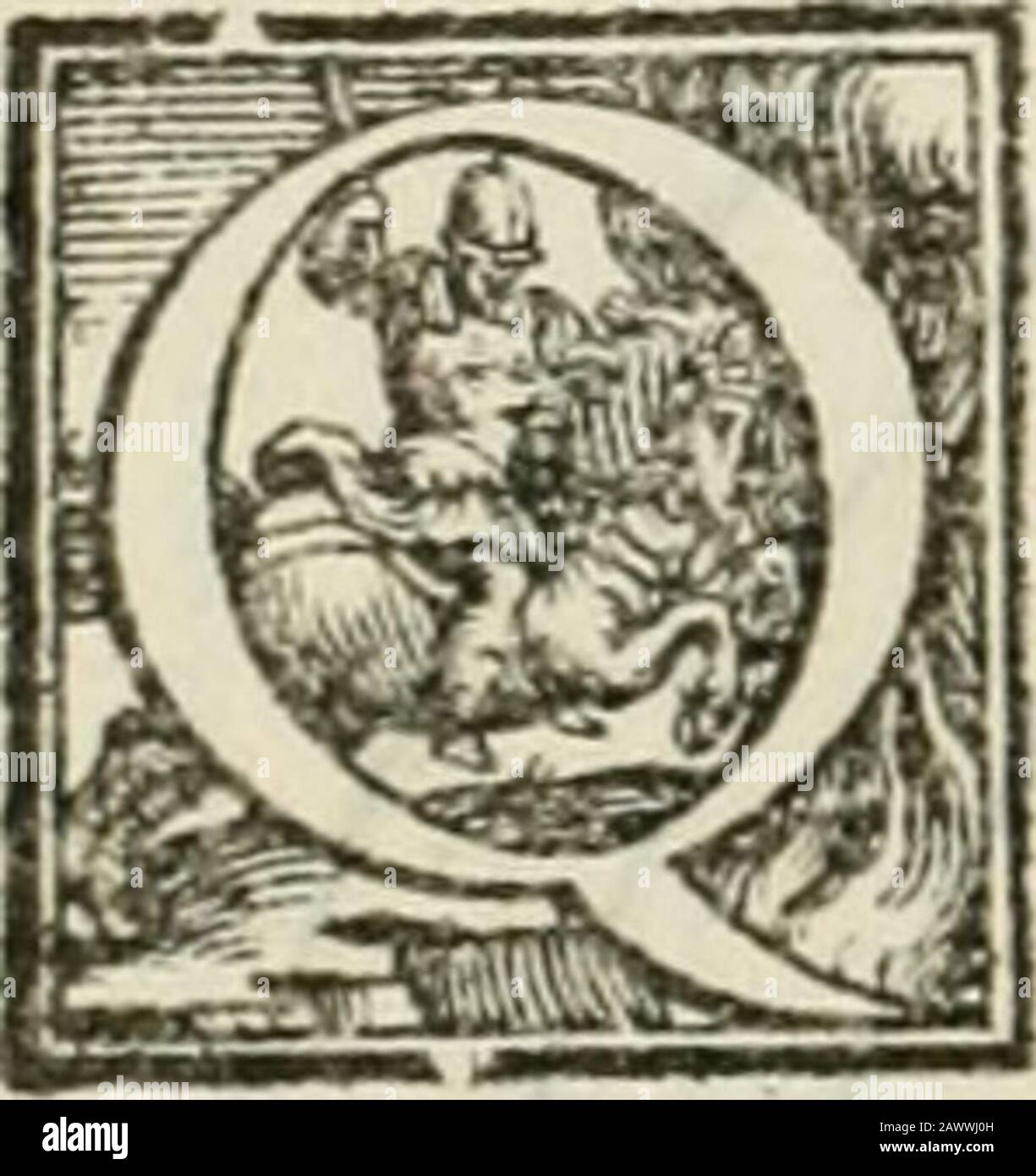 L'architettvra. Fedeli in cialcuna attie-ne grandemente uenerarla,& malTìme nelledificare il principio.o chiefa catehrale della città, dedicàdo quella a Giebu Chrifto crocififiblb, & dal fuo fantillìmo corpo pigliare le mifrure dehtemil o, o fellafina, cappuellano della fufa Nel qualei preti ftanno a celebretare il culto fuo, & in luogo del luo di ogni ben largo petto fialaflato iluano per la Principal Tribun a, dal quale fi muouino le braccia, nella fommità delle quali, inluogo delle fue liberaliflìme mani, una entrata per bfi potrà, tare, tare & in luogo defuo Stockfoto