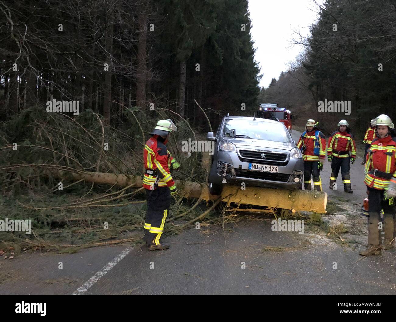 Dietenheim, Deutschland. Februar 2020. Die Feuerwehrleute arbeiten an einer Unfallstelle. Nach einem Sturm war ein Baum auf eine Straße gefallen. Ein Auto konnte nicht mehr ausweichen. (Bis dpa: "Hurrikan 'Sabine' fegt über Baden-Württemberg") Credit: Ralf Zwiebler / dpa / Alamy Live News Stockfoto