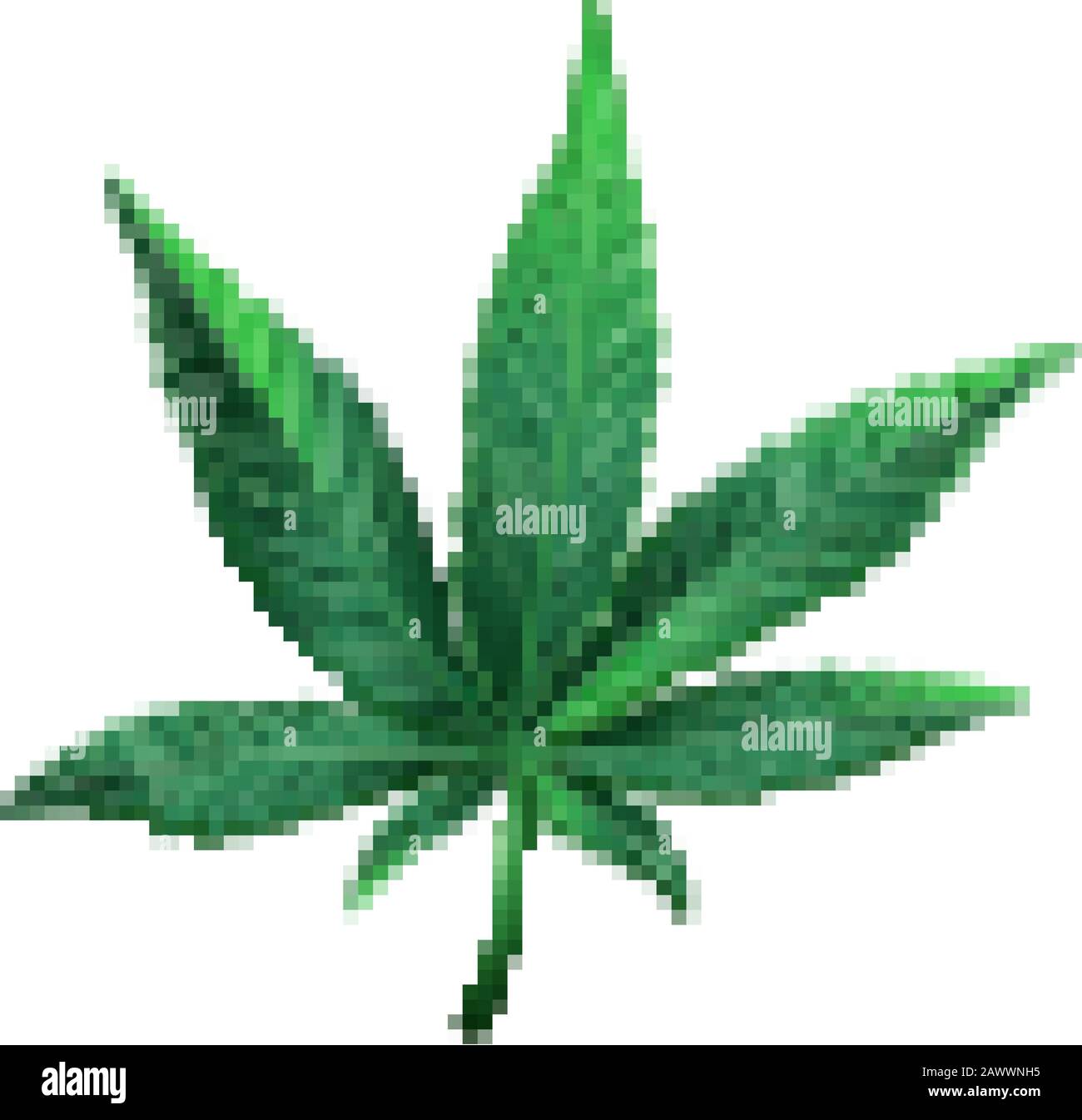 Realistische Vektordarstellung von Cannabisblättern. Grünes Marihuanablatt isoliert. Vektor eps 10. Stock Vektor