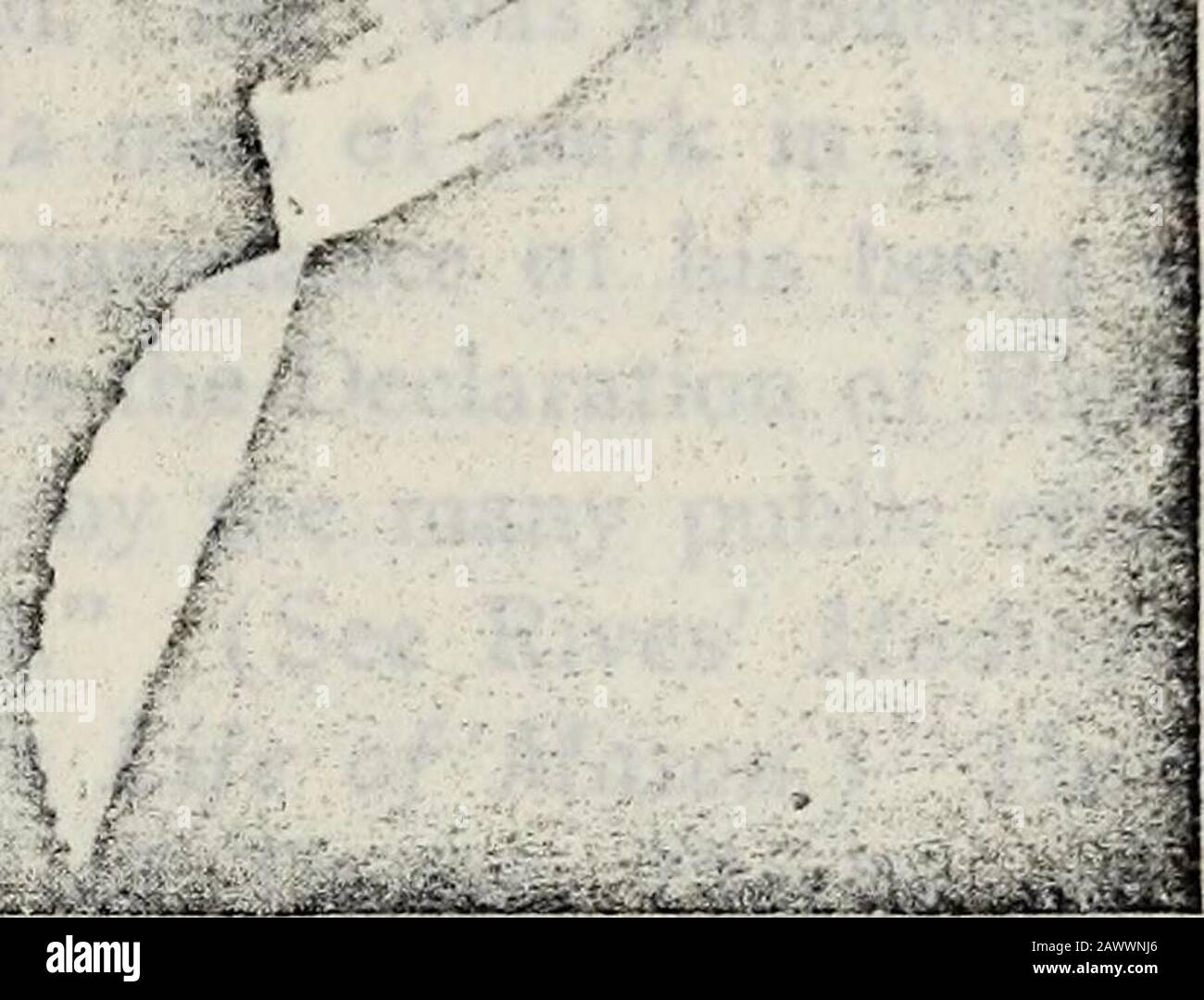 William and Mary College Quarterly Historical Magazine . ecord.) Hewas Vestryman of South Farnham and Justice; a Signer of TheNorthern Neck Association, 1766; Member of Essex Committee OfSafety, 1776; Member of the House of Burgesses for Essex,i774- * 75; Von den Virginia Conventions von 1775, 1776 und von 8, 1776, des Priy Council, 1776, i78o-8i, i783-85; des VirginiaHouse Of Delegates, 1777-17898989898989898989898989898989898989898982 (Appletons Cyc. A?n. Biog.; Quarterly, V., S. 254;Va. Hist. Kol. X., S. 372; Gesetzlisten.) die Verwaltung seines Nachlasses wurde am 21. April, 1704, seinem n Stockfoto