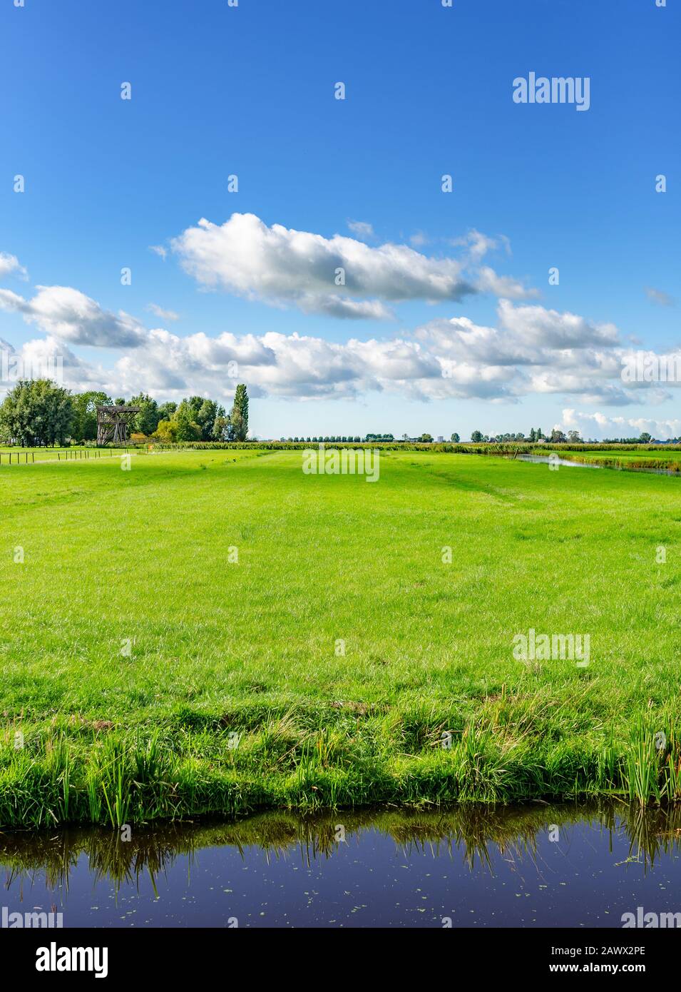 Grünes Feld und blauer Himmel. Stockfoto