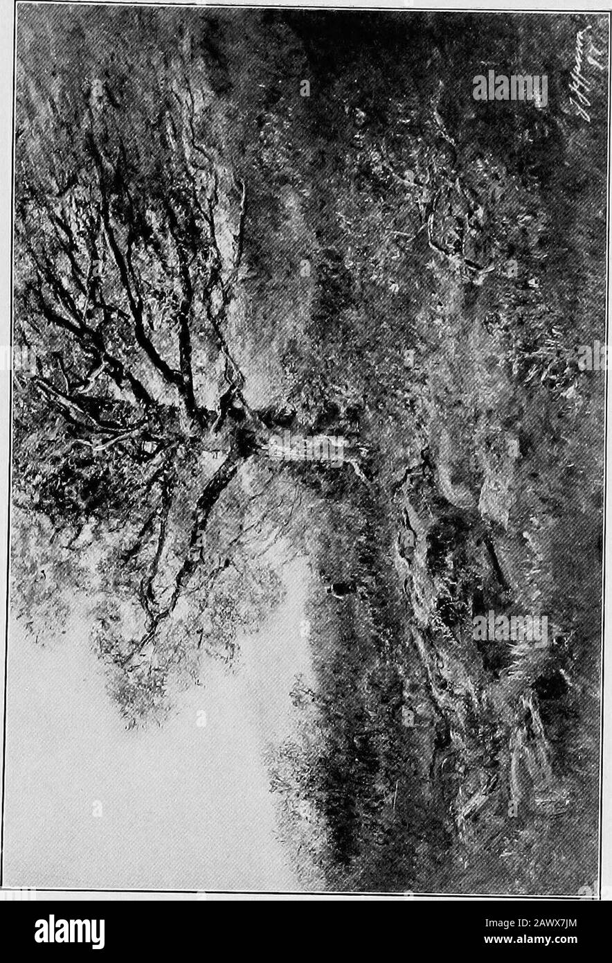 Joseph Jefferson; Reminiszenzen an einen Mitspieler . r an den Erben bei der Jura-Aufführung, Anbetung, die er in Imitation von Turner malte, die an der Wand der Drawing-room-Szene mThe-Stück hing. Als ich Washington erreichte, wählte ich Den King of the Forest als das am meisten zurückziehende und am gekonntesten gemalte Bildmotiv aus, das noch von dem aufstrebenden jungen Künstler gesehen wurde, ging andit schnell in meinen Besitz über; Auch bei meinem Kauf wurde Isehr von der Gulefulremark des Händlers beeinflusst, dass ein Bild, das von der Hand Shakespeares gemalt wurde, nun von incal-ausführbarem Wert wäre, also zu keinem fernen Tag Stockfoto