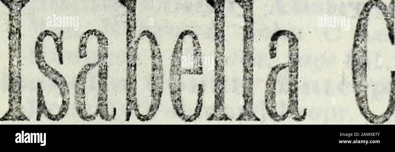 Michigan State Gazetteer und Business Directory. - Bros (Jared und J][rauk), Hard-ware. I&gt;"iiSjIity John IS, Propr and PublirIsella County Enterprise. (&:e ado.)Doughty Wilkinson, Dry Goods.Diiscnbury George, Express AGT.Elswortli ^Irs L J, Restaurant.Exchange HoteJ, B F Dibbie propr.Fane her Isaac A. lumber mnfr. FAI"c!ier A: Flodii * i^iOMi (Isaac A Fancher, Peter F und Francis 11 Dodds). Rechtsanwälte. .Fasquelle 31 Frank, yjhysician.Fe•^^^?nden A: Maxwell (James E Fessendeu. John Maxwell), L-eneral Store.Foster Frank F d: CO (Frank F Foster. Floyd E Stoker), cleidge.Freeney John H, Barher Stockfoto