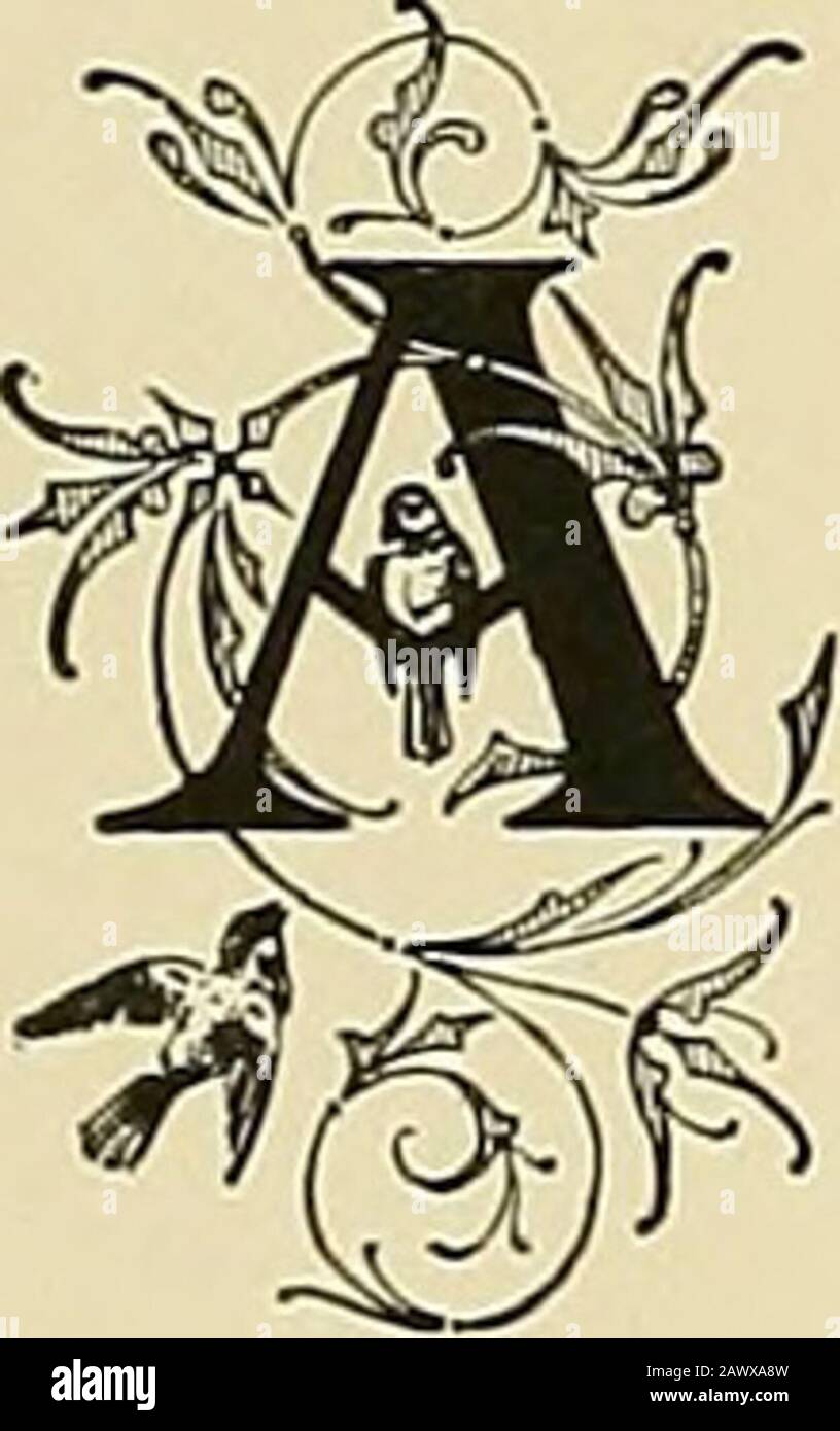 Halcyon. Klasse von 1905 Offizieren ffirst -acrm Sccoiit Xlcrm Präsident: Frederick N. Price; Ralph Jackson. Vizepräsident:Ralph Jackson; Percy Hoopes. Sekretärin:Helen Carre; Elizabeth Hall. Schatzmeister: William Linton; William Linton. Klasse aSanquct ©fficcrs Orator Philip Hicks. Poetess Serena Miller. Die Historikerin Eliza McFarland. Prophetin Winifred Craig. Statistin Lydia Foulke Toastmastcr Fred Price. 39 IfMstor^ von 1905. Geschichte unseres College-Lebens! Ein Katalog unserer Auszeichnungen! Sollten wir ehrlich sein, würden Sie, Gentlereader, schwören, dass wir übertreiben; doch sollten wir schweigen, würden unsere Feinde t sagen Stockfoto