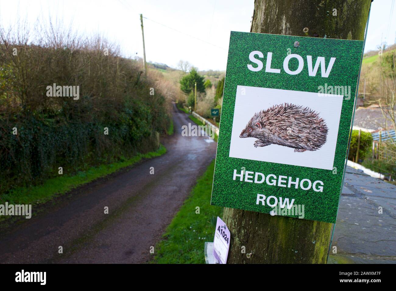 Langsam für Igel Warnschild, Devon, Großbritannien Stockfoto