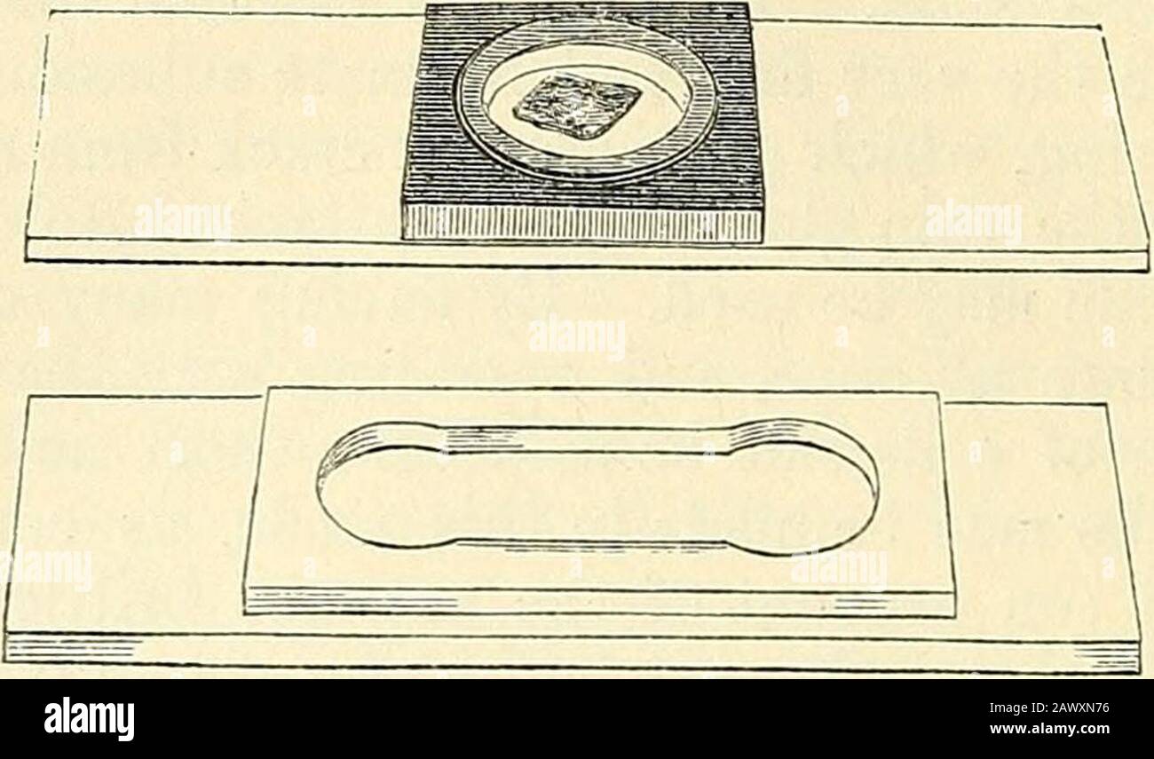 Das Mikroskop Und Seine Enthullungen Te Glas Und Shalloiv Zellen Eor Montagegegenstanden Von Etwas Grosserer Dicke Als Sie In Dunnglaszellen Enthalten Sein Konnen Konnen Flache Ceus Hergestellt Werden Indem Sie Offnungen Von Der Gewunschten Grosse