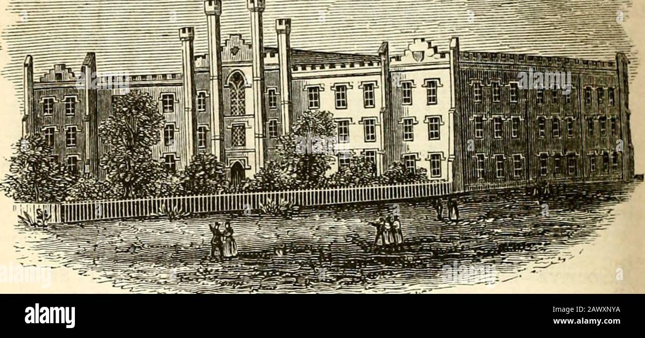 Handbuch des Unternehmens der Stadt New York, für die Jahre .. . Halsted, H.M.jAlexander. I LA-"r-William M. Prichard, Henry A. Cram, E. S. Van Winkle.i Building-Linus W. Stevens, Chairman; John W. C. Leveridge, Secretary; Thomas B. Stillman. J Library-D. J. Steward, John J. Townsend, William Cromwell.i Ladies-Judith Skidmore, Anna M. Robert, Sarah B. Brown, Elizabeth^Oodward, S. N. Downer, Melissa P. Dodge, Grace Dickinson, EllenSrebs, Maria A. Neefus, Anna M. Marshall, Paulina D. S.powles, Sarah Langford, Hannah hart, Susan, John Havelia Stockfoto
