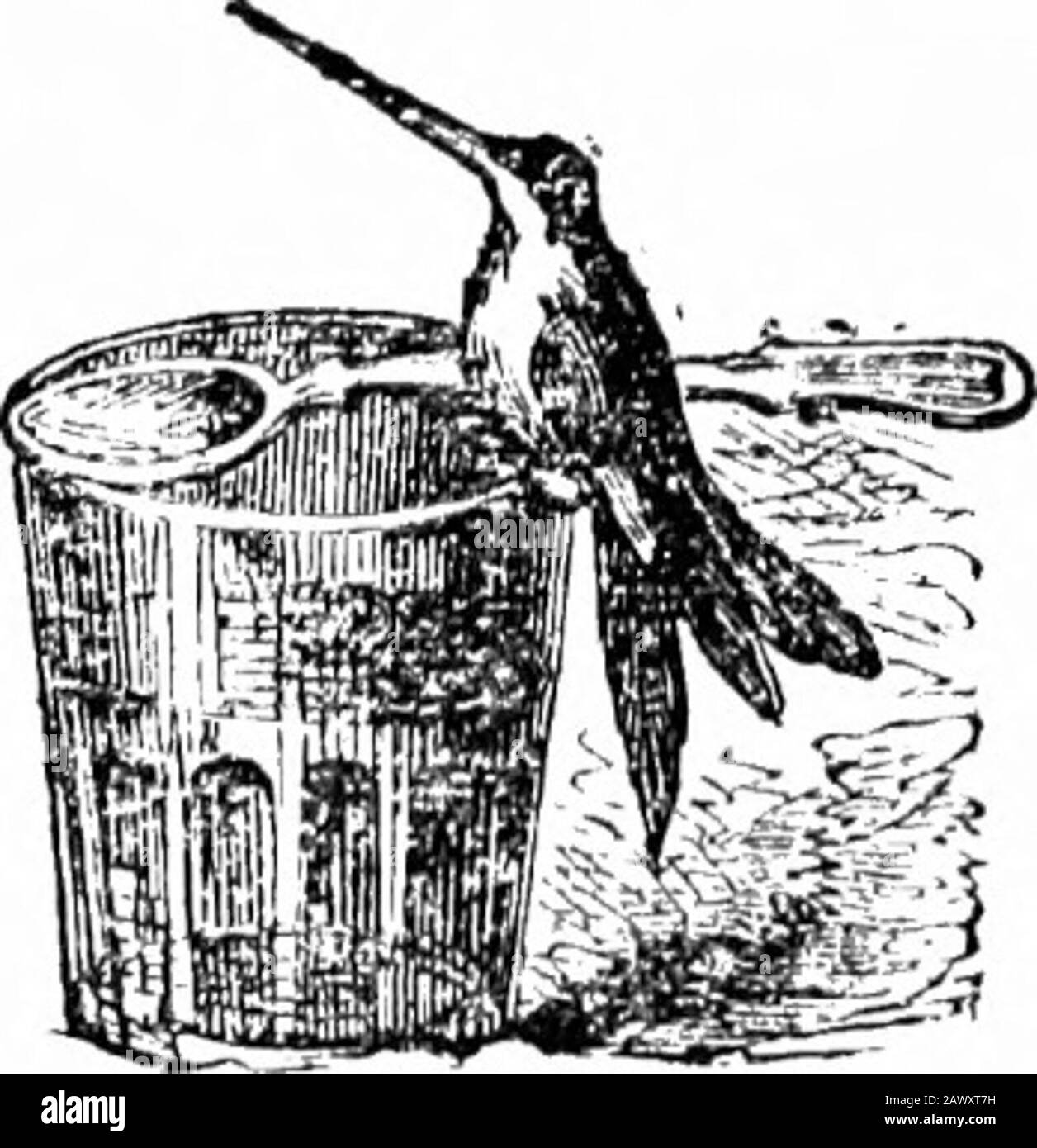 Augenöffner [elektronische Ressource]: Gute Dinge, ungemein lustige Spriche und Geschichten, die ein Lächeln auf das greuste Gesicht bringen. Brechen Sie die Nachrichten an den Armen Mr. Bagley. Aber schließlich wurde der Körper in den Wagen von Higginss gesteckt, und er wurde angewiesen, ihn zu Frau B. zu bringen, aber sehr bewacht und diskret in seiner Sprache zu sein, und sie nicht auf einmal zu zerbrechen, sondern es nach und nach und sanft zu tun. Als Higgins mit seiner Sadfracht dorthin kam, schrie er, bis Mrs. Bagley die Tür kam. Dann sagte er: Lebt hier die widder Bagleylive? Die Witwe Bagley? Nein, Air 1 * Schlecht wette sie. Aber haben Sie es Ihr Eway. Stockfoto