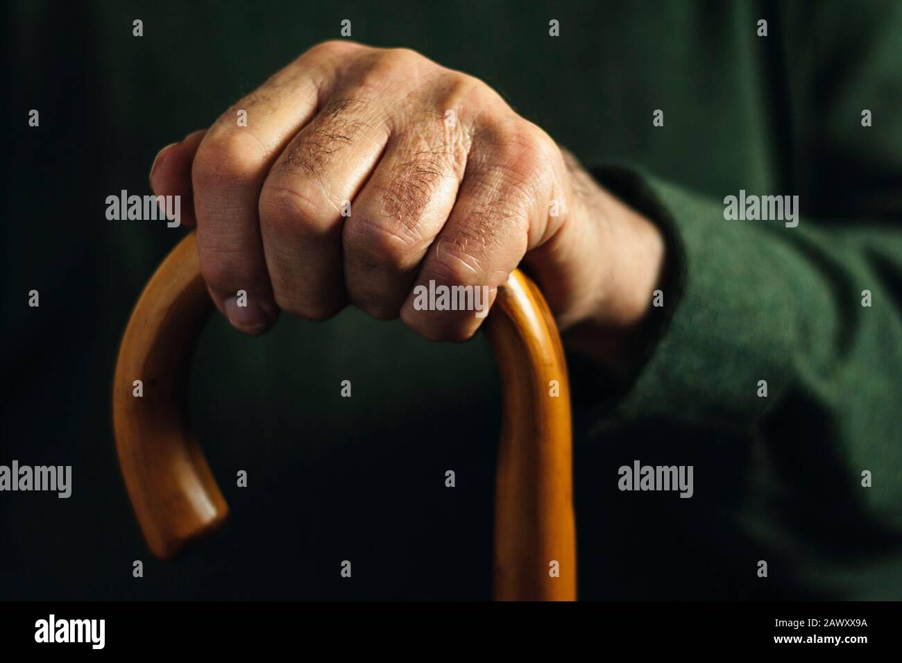 Hand eines alten Mannes, der einen Gehstock hält Stockfoto