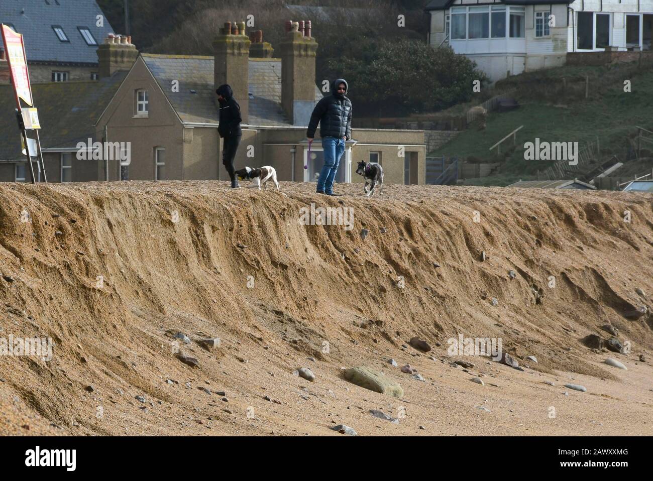 West Bay, Dorset, Großbritannien. Februar 2020. Wetter in Großbritannien. Ein Hundespänner steht am Strand von East Beach an der West Bay in Dorset, der von Storm Ciara schwer beschädigt worden ist, der die Schindelbank, die das Dorf schützt, weggefressen und erodiert hat und stellenweise bis zu einem 10 Fuß vertikalen Tropfen hinterlässt. Bildnachweis: Graham Hunt/Alamy Live News Stockfoto