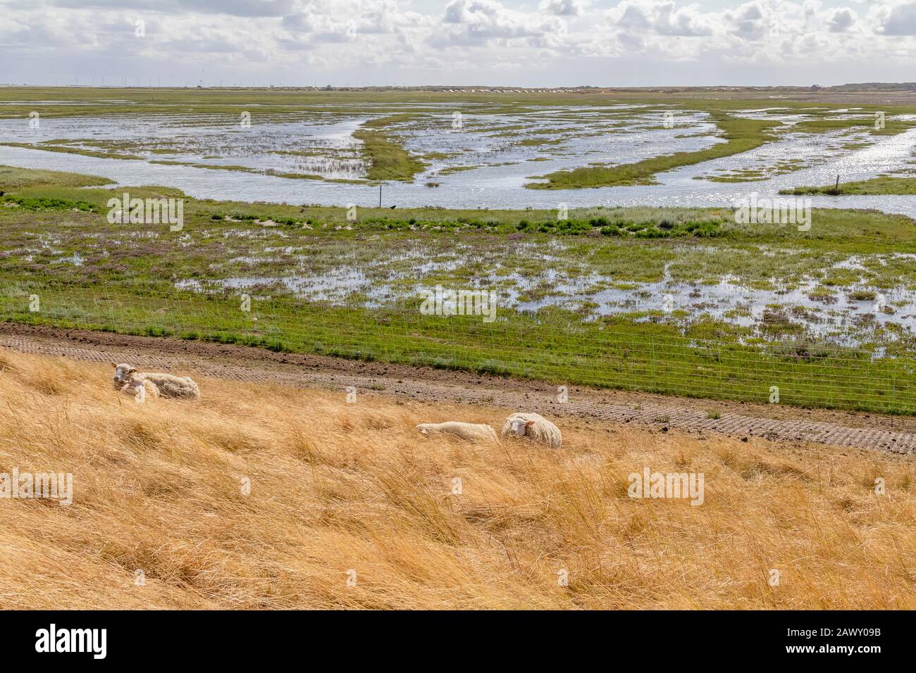 Küsten Eindruck von Spiekeroog, eine der Ostfriesischen Inseln an der Nordsee in Deutschland Stockfoto