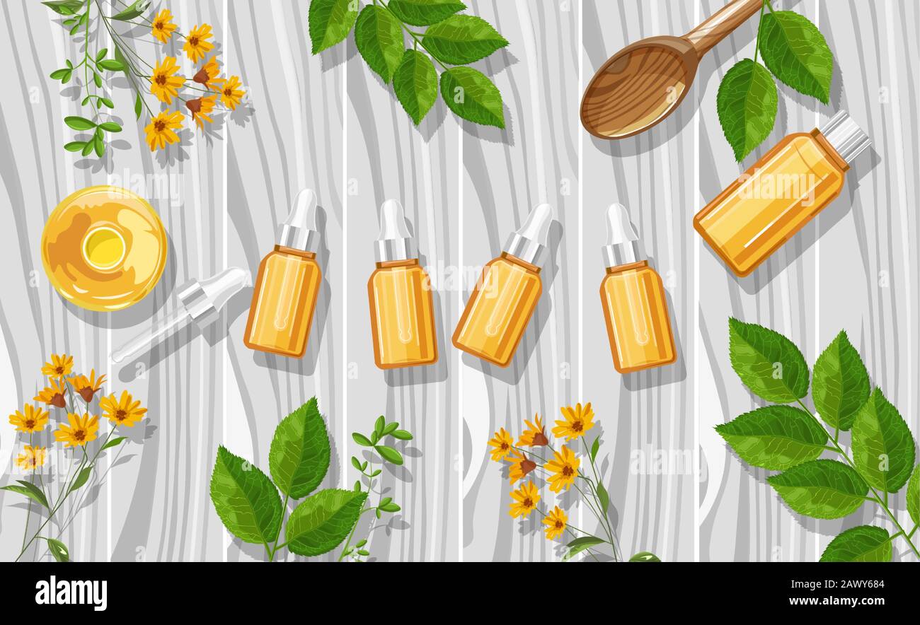 Orangefarbene ätherische Ölflaschen mit Tropfflaschen. Aus Obst. Ideenvektor für natürliche Aromatherapie. Blätter und Blumen im Hintergrund Stock Vektor