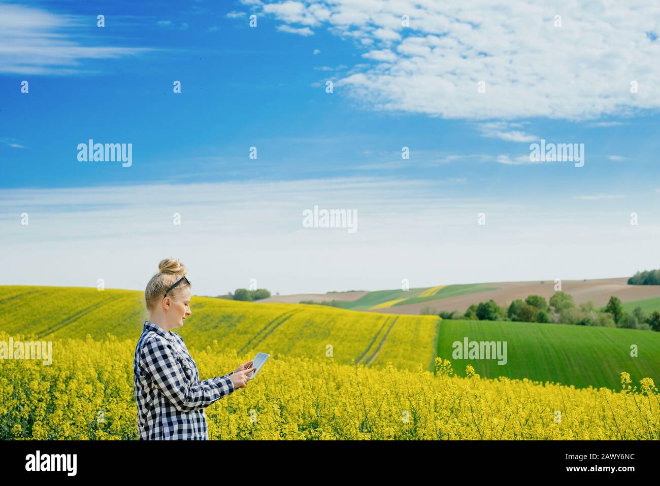 Landwirtschaft Bauer Mit Digitalem Tablett Untersucht Getreide Stockfoto