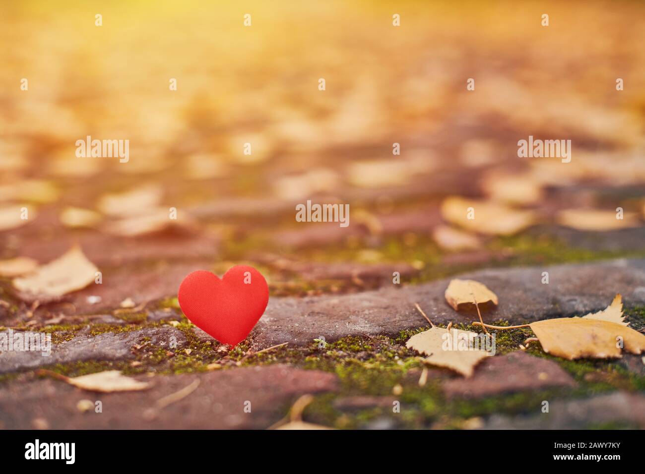 Einseitige Liebe Stockfotos Und Bilder Kaufen Alamy