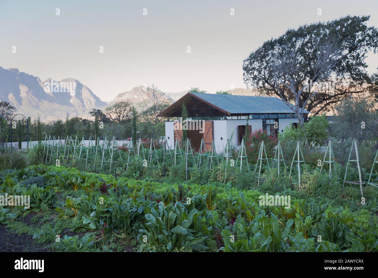 Idyllischer, ruhiger Gemüsegarten und ländliches Haus mit Bergen im Hintergrund Stockfoto