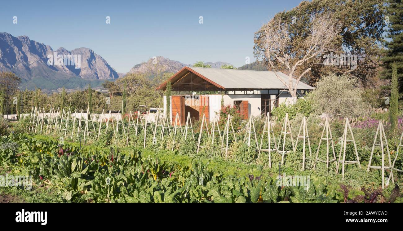 Sonniger, idyllischer Gemüsegarten und ländliches Haus Stockfoto