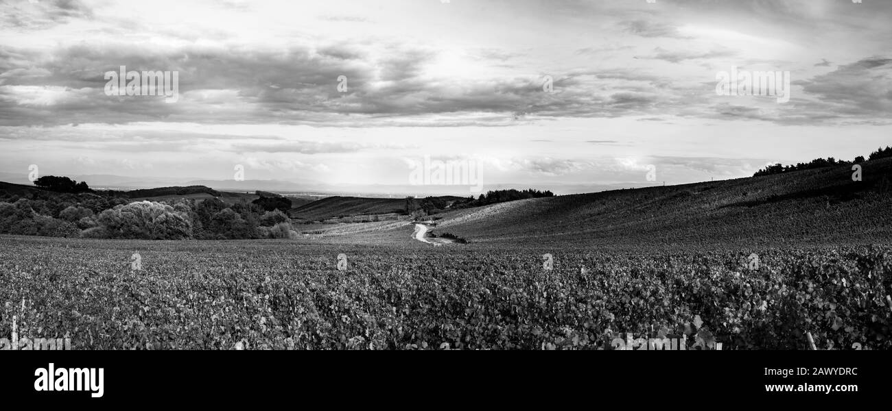 Französische Landschaft Stockfoto