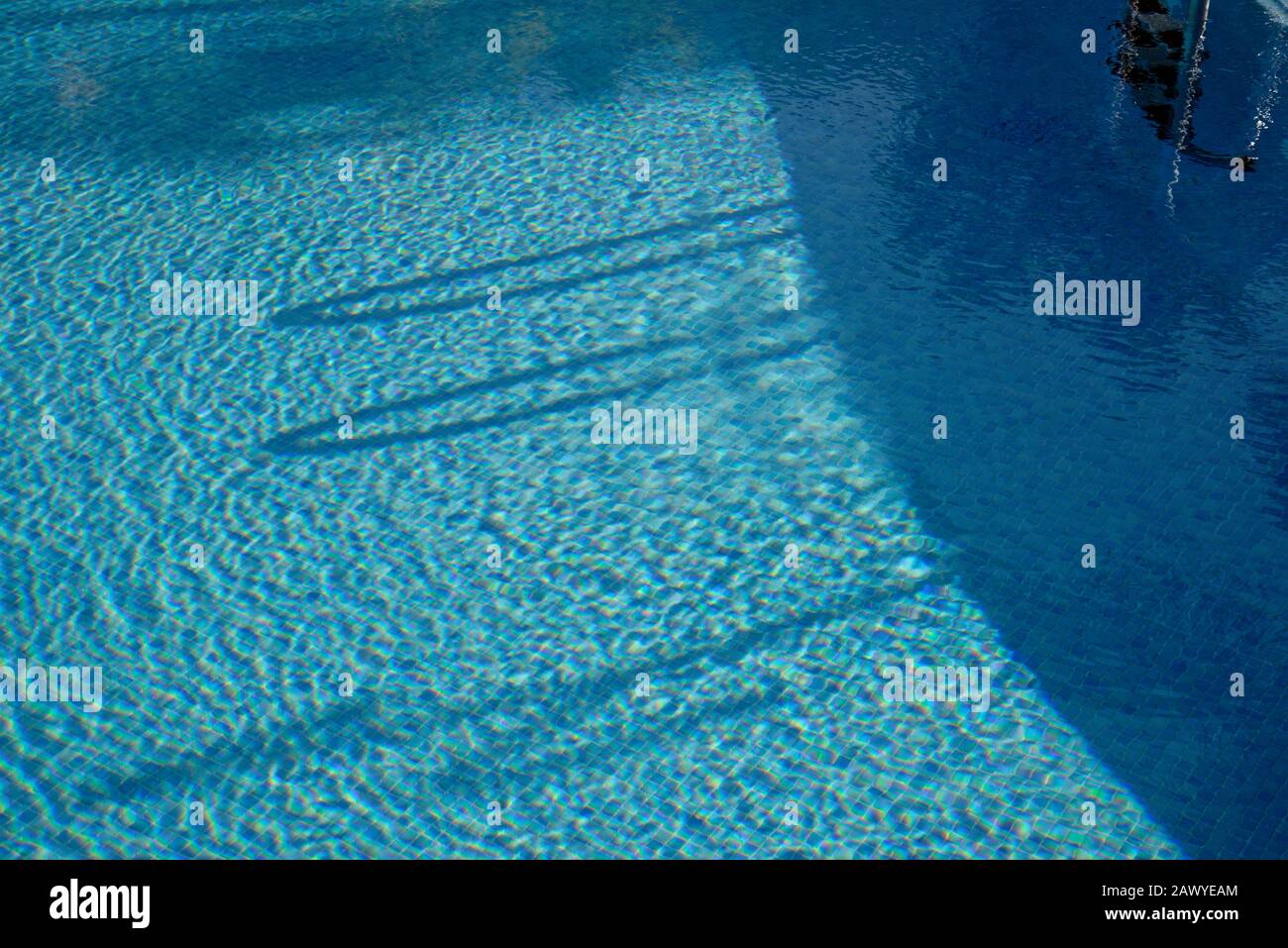 Reflexionen in blauen Schwimmbädern mit tropischen Palmen. Pool mit blauen Mosaikfliesen. Stockfoto